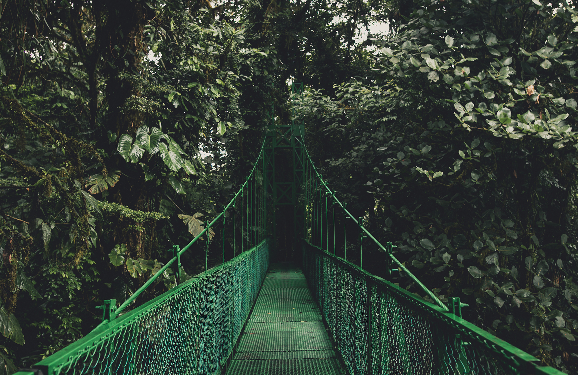 Hangbrug in Costa Rica