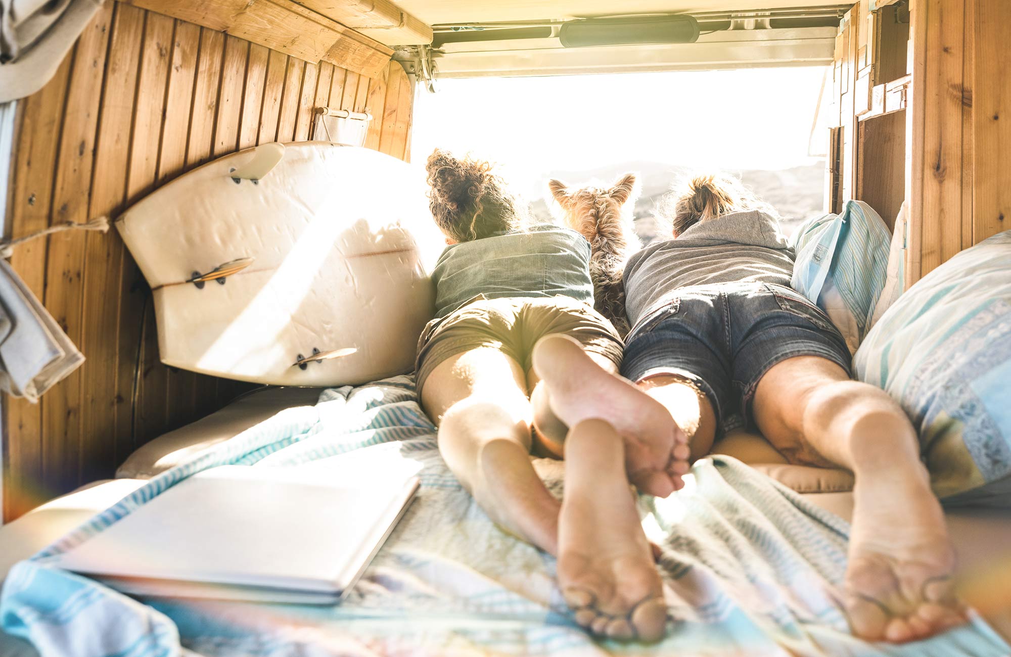Roadtrips in Nieuw-Zeeland