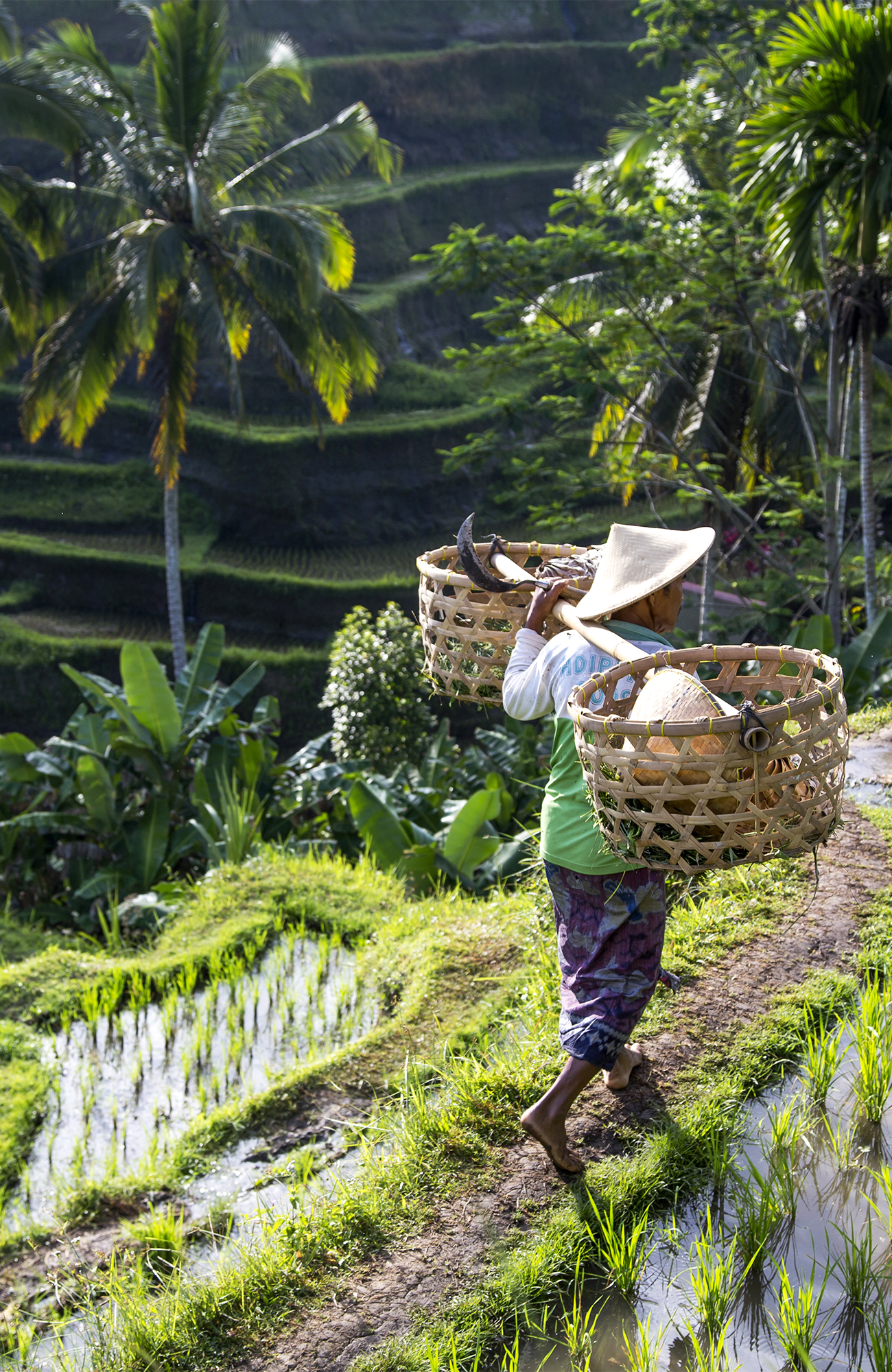 Inwoner met manden op schouder | Rondreis Indonesië  | KILROY