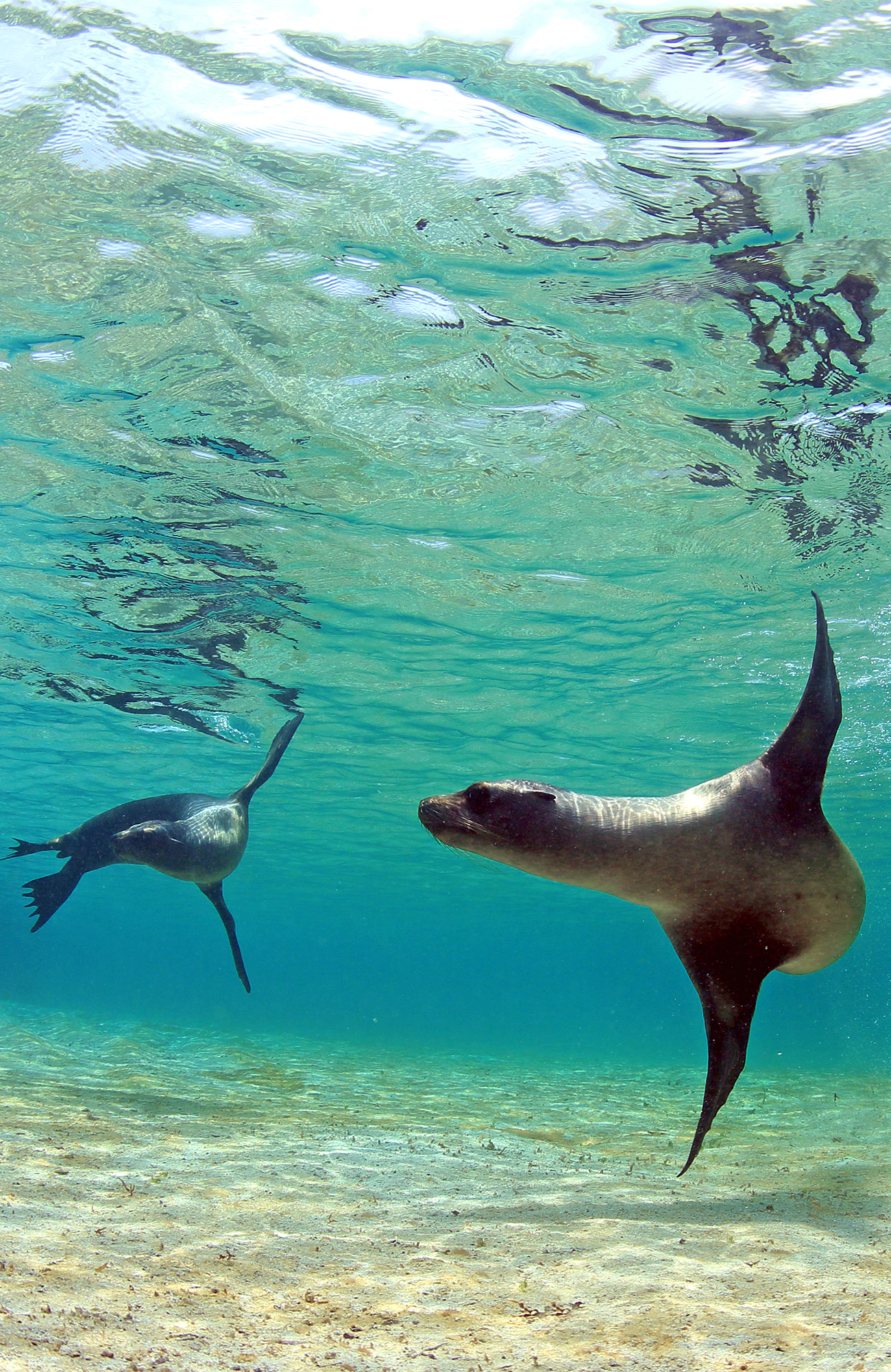 Reizen naar de Galapagos eilanden met KILROY