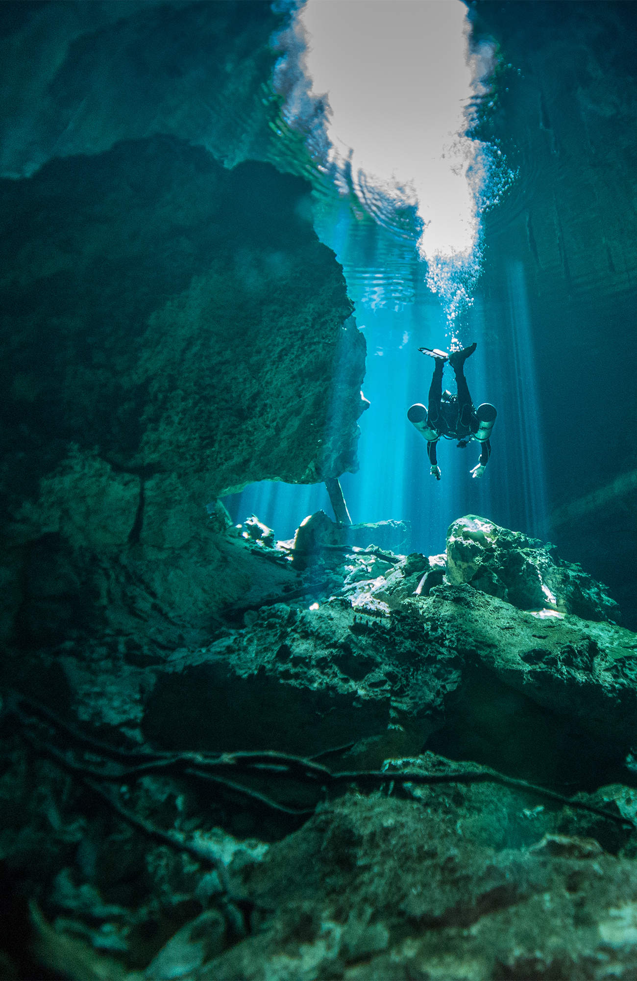 Duiker in Cenote in Yucatan | reizen in Mexico met KILROY