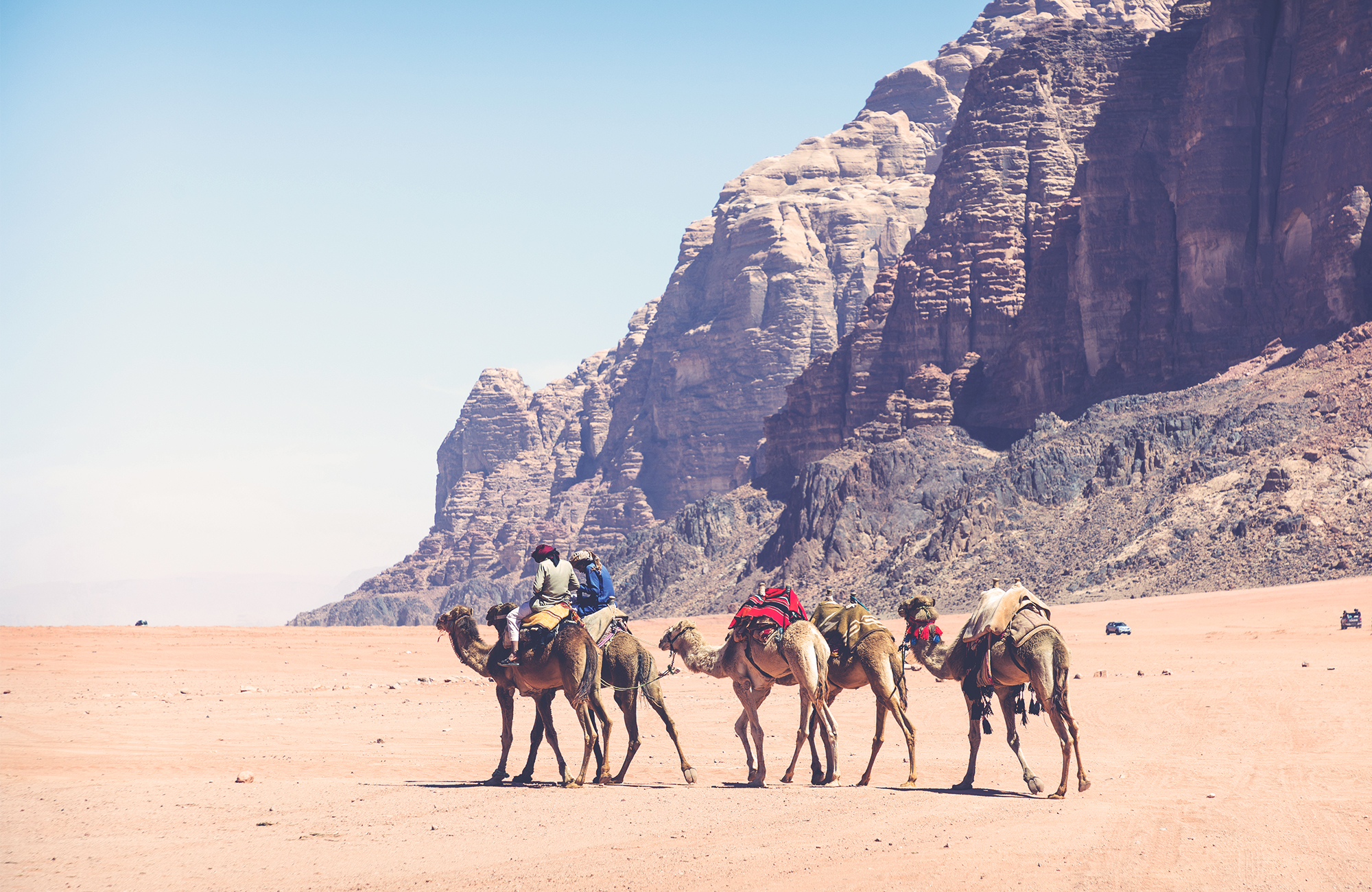 Kamelen in Wadi Rum | Rondreis Jordanië | KILROY