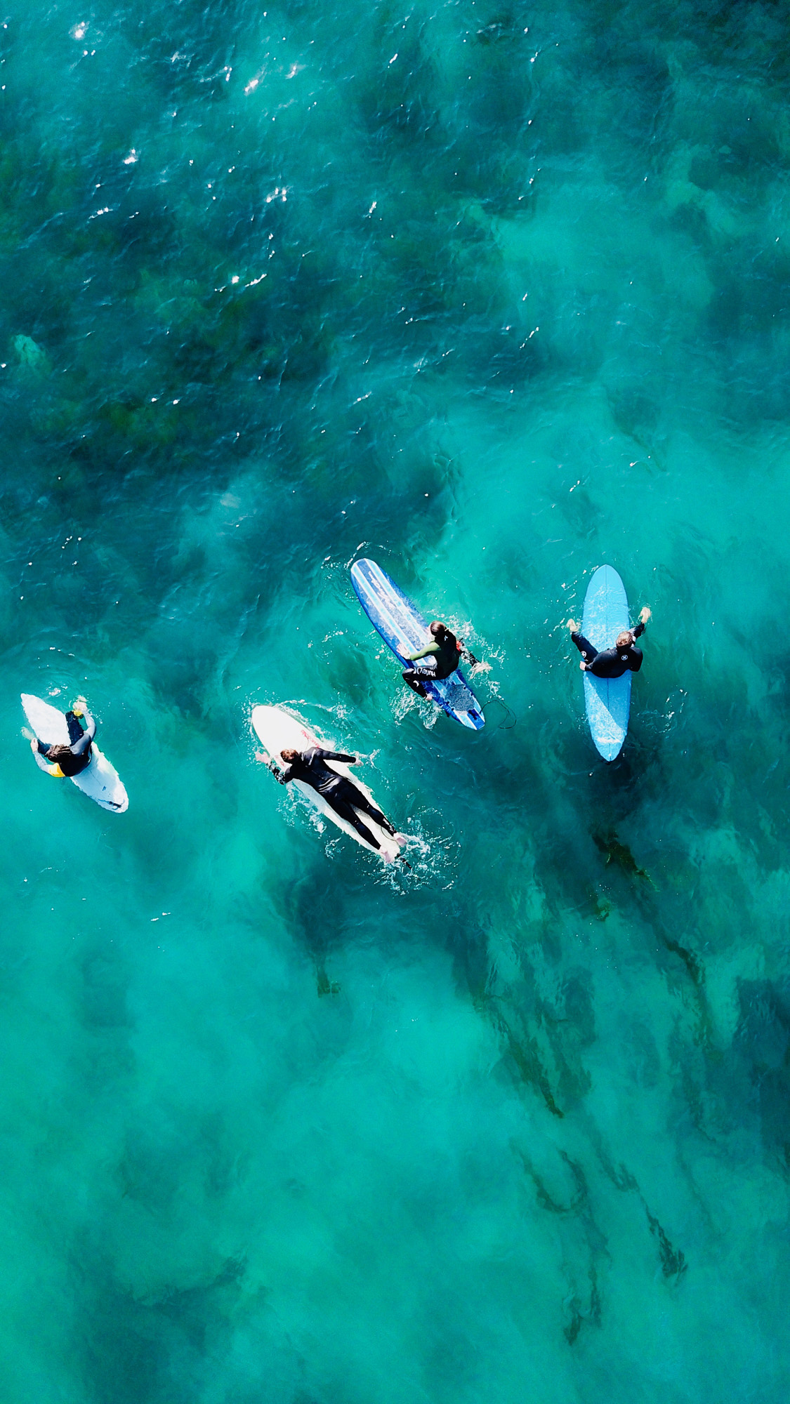 Leer surfen in Oceanië | KILROY
