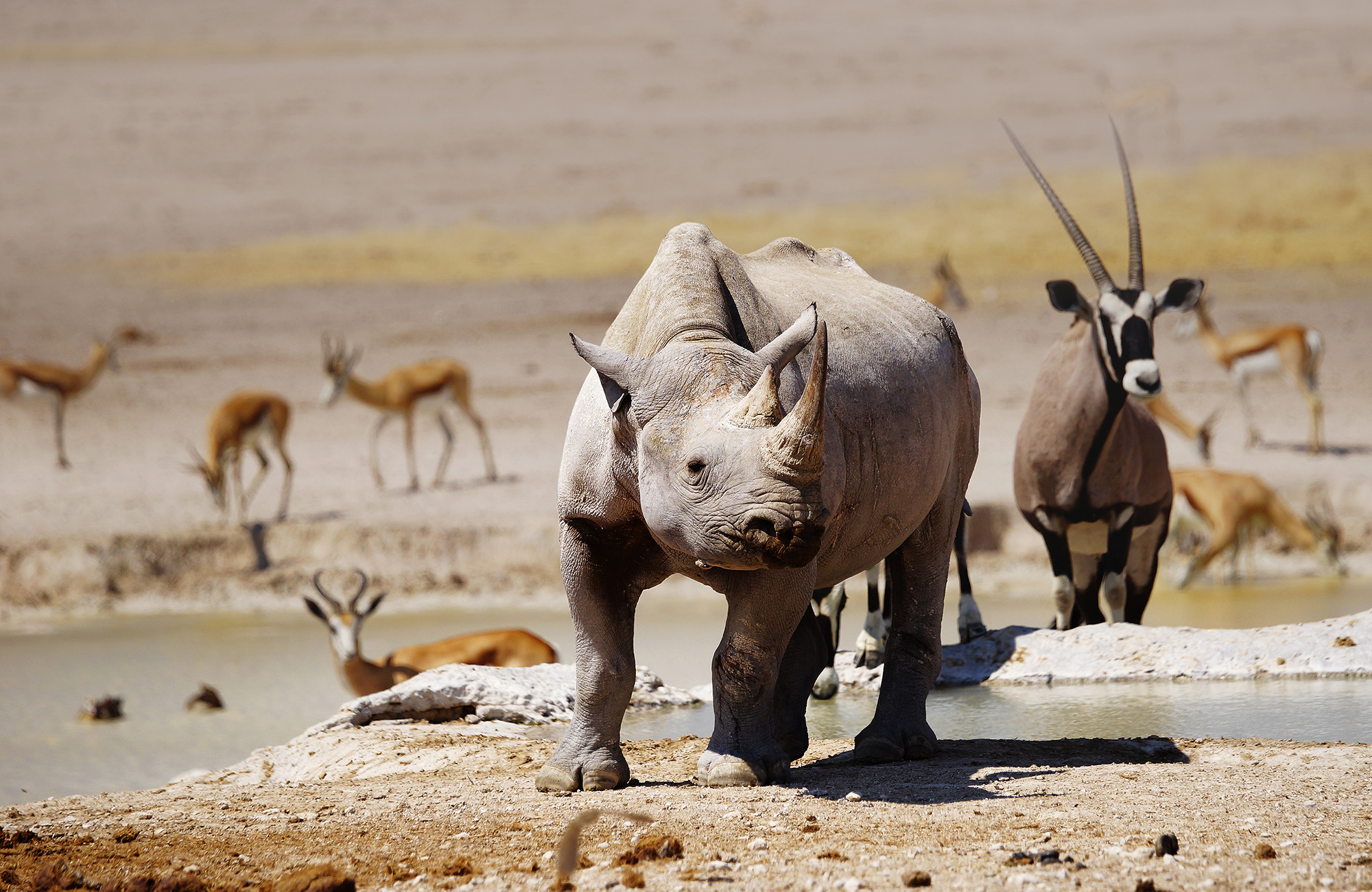 Inspiratie voor rondreizen in Afrika