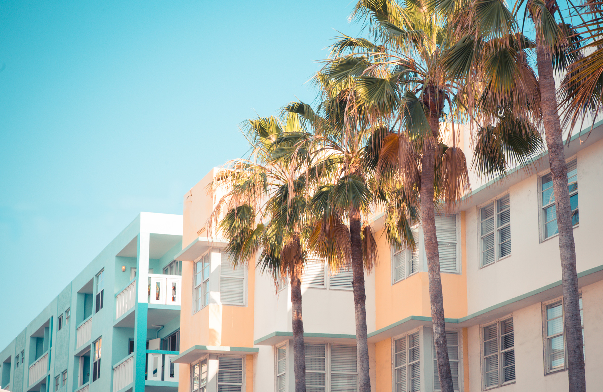 Reizen naar Miami | KILROY