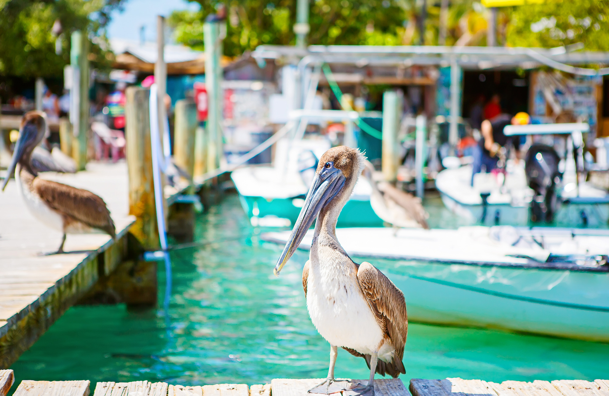 Haven in Florida | Reizen naar Florida