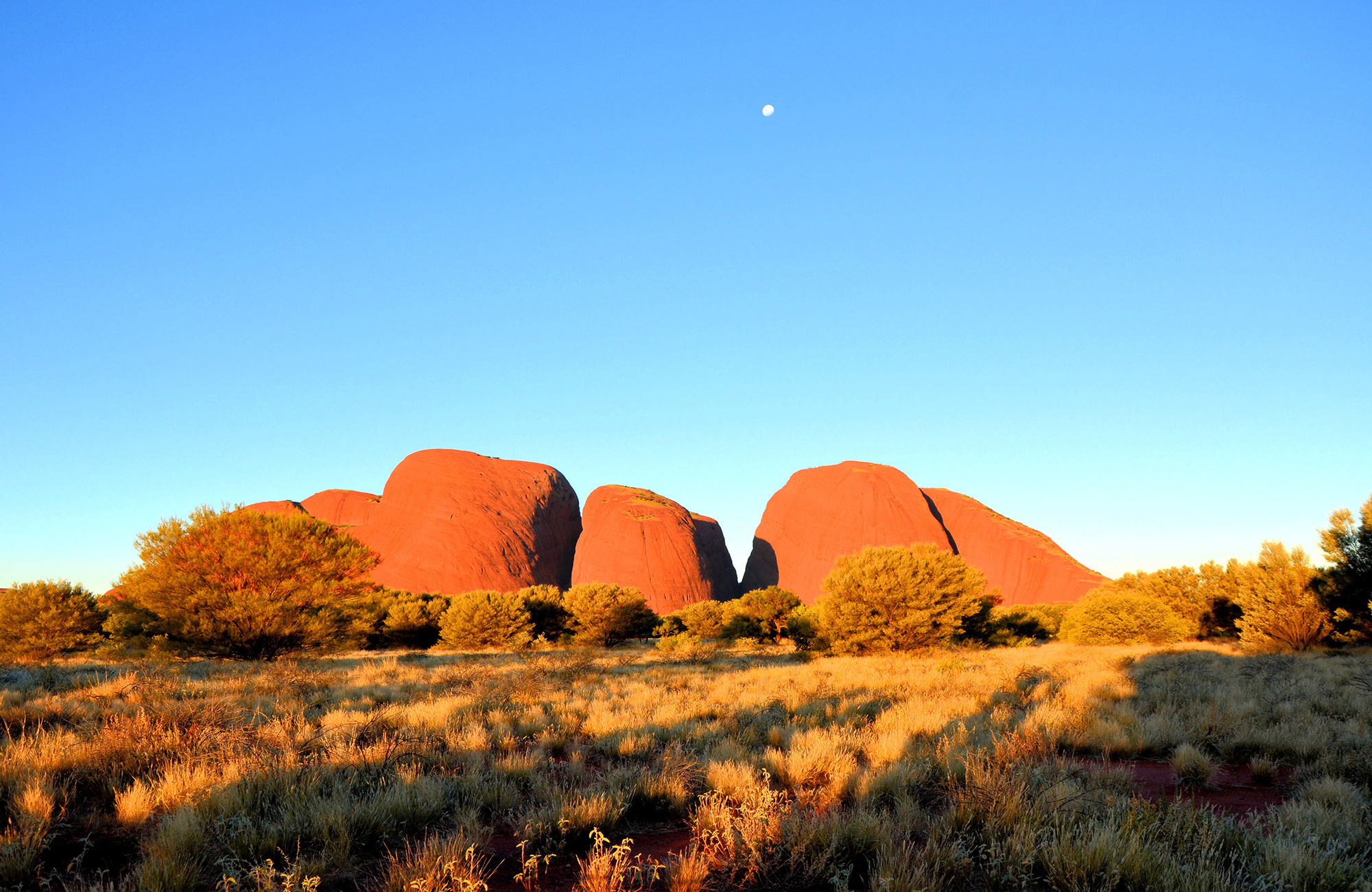 australia-outback-kata-tjuta-sunset