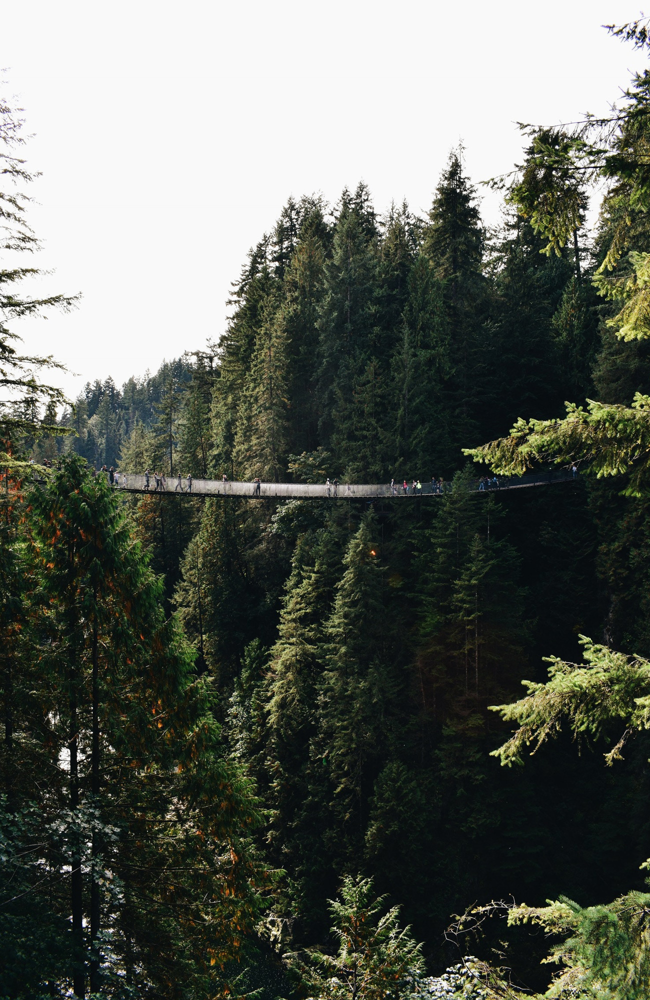 Bossen bij Vancouver | Reizen met KILROY