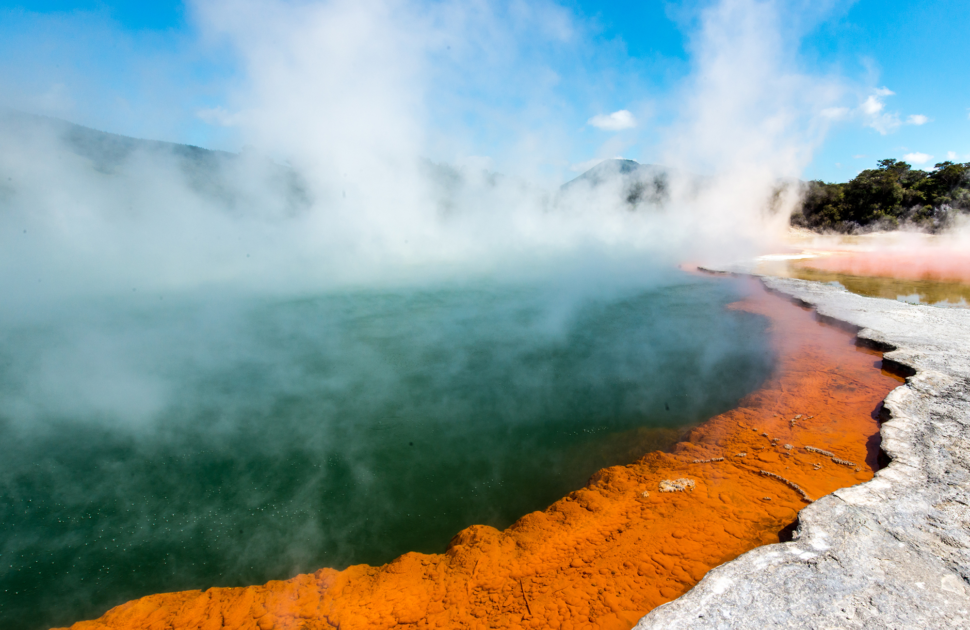 Stomende geisers van dichtbij bij Rotorua | KILROY