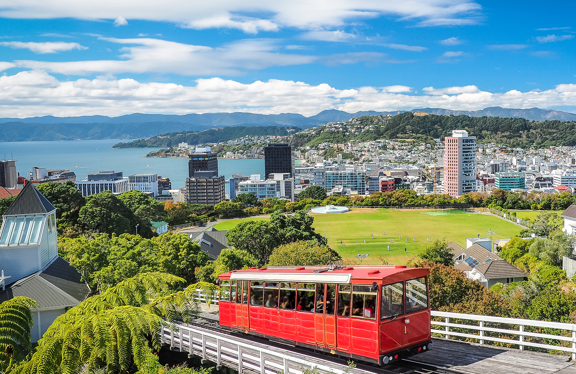 new-zealand-wellington-city-view-day-time