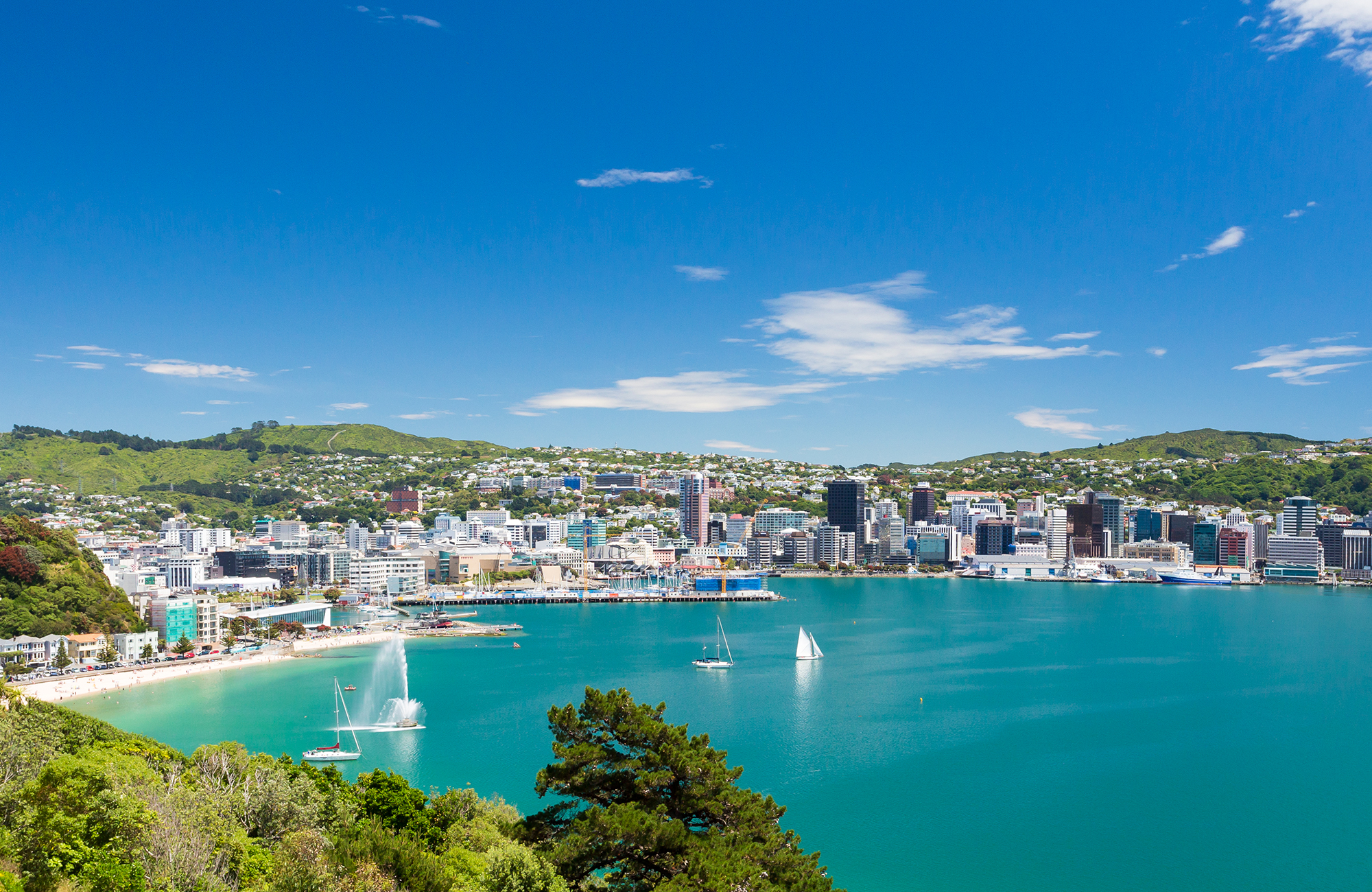 Uitzicht over de kustlijn van Wellington | KILROY