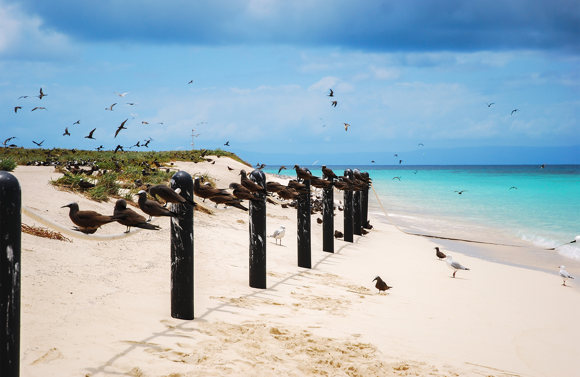 Reizen naar Cairns