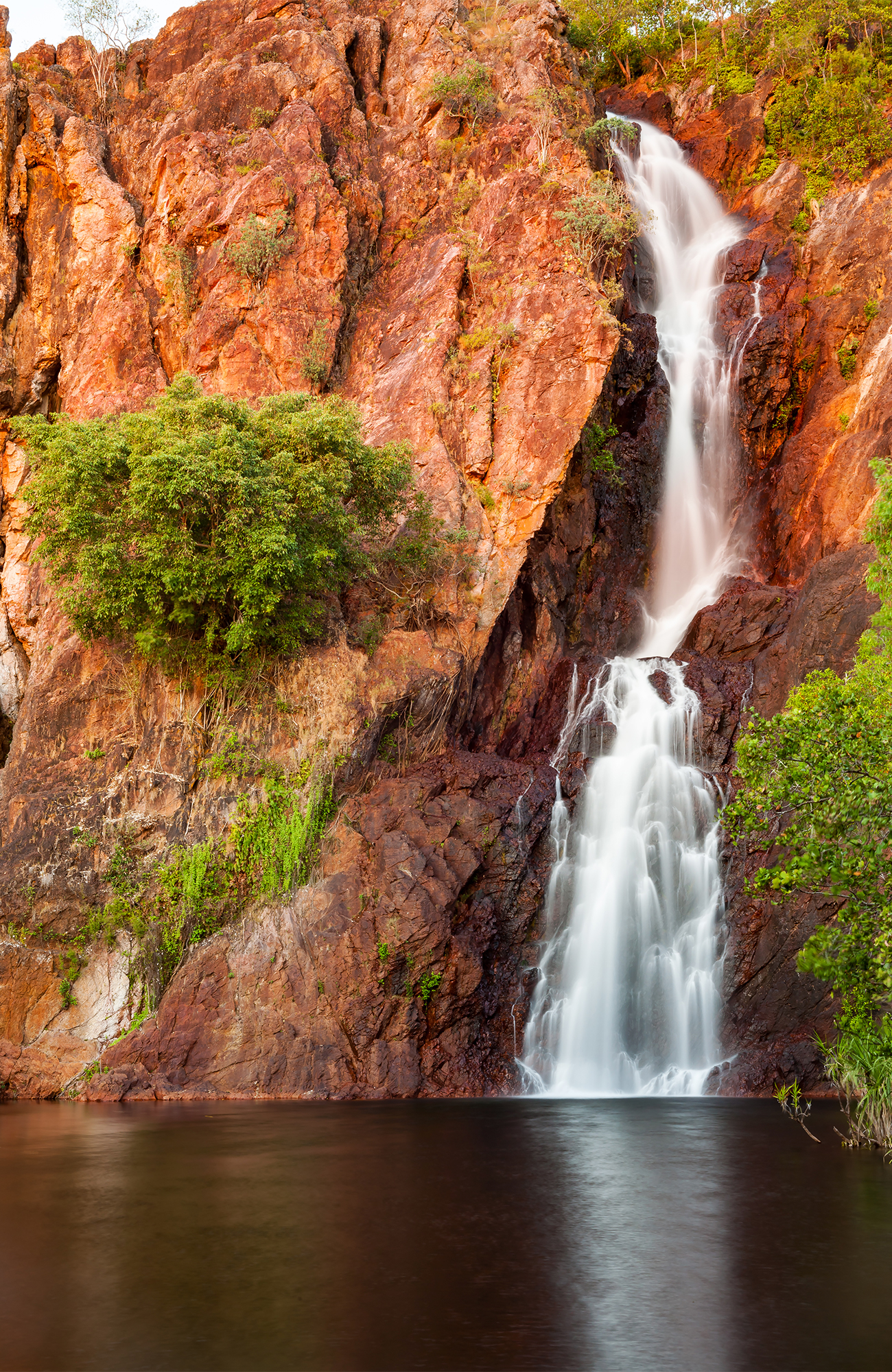 Waterval begroeid met planten | Reizen naar Darwin | KILROY