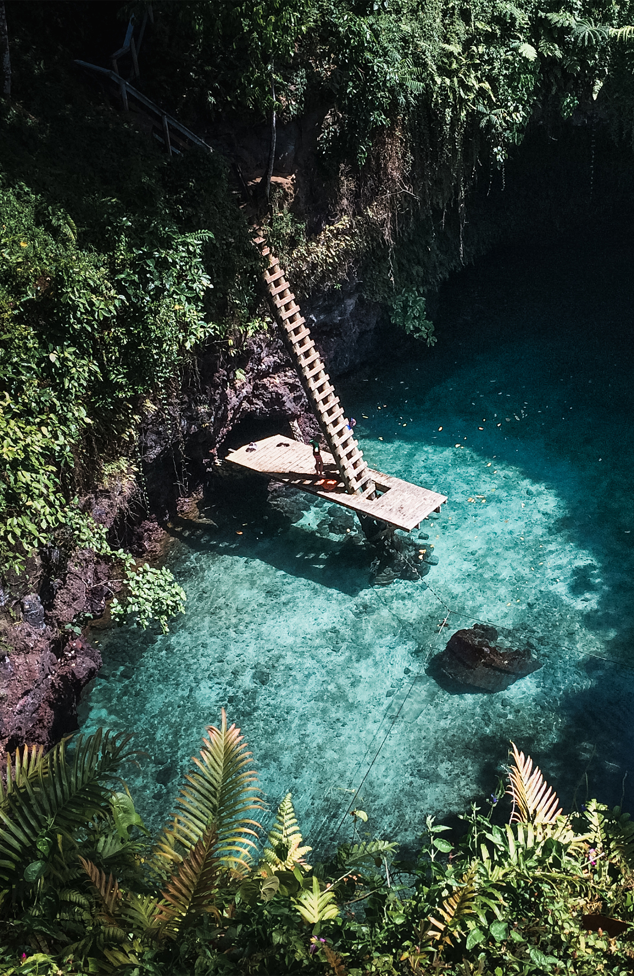 Tropisch uitzicht in Samoa | Reizen naar Samoa | KILROY