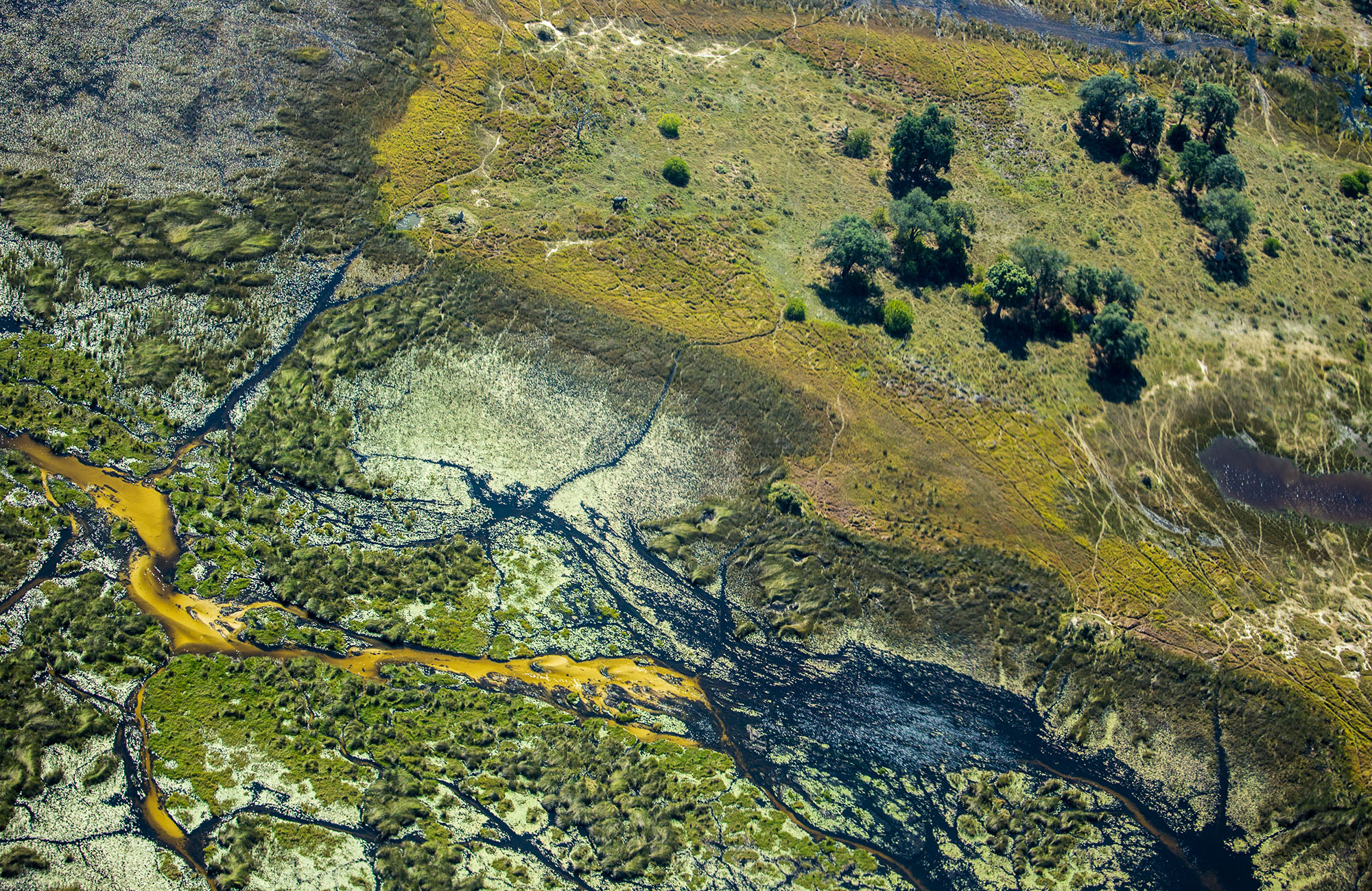 Landschap in Botswana | Rondreis Botswana | KILROY