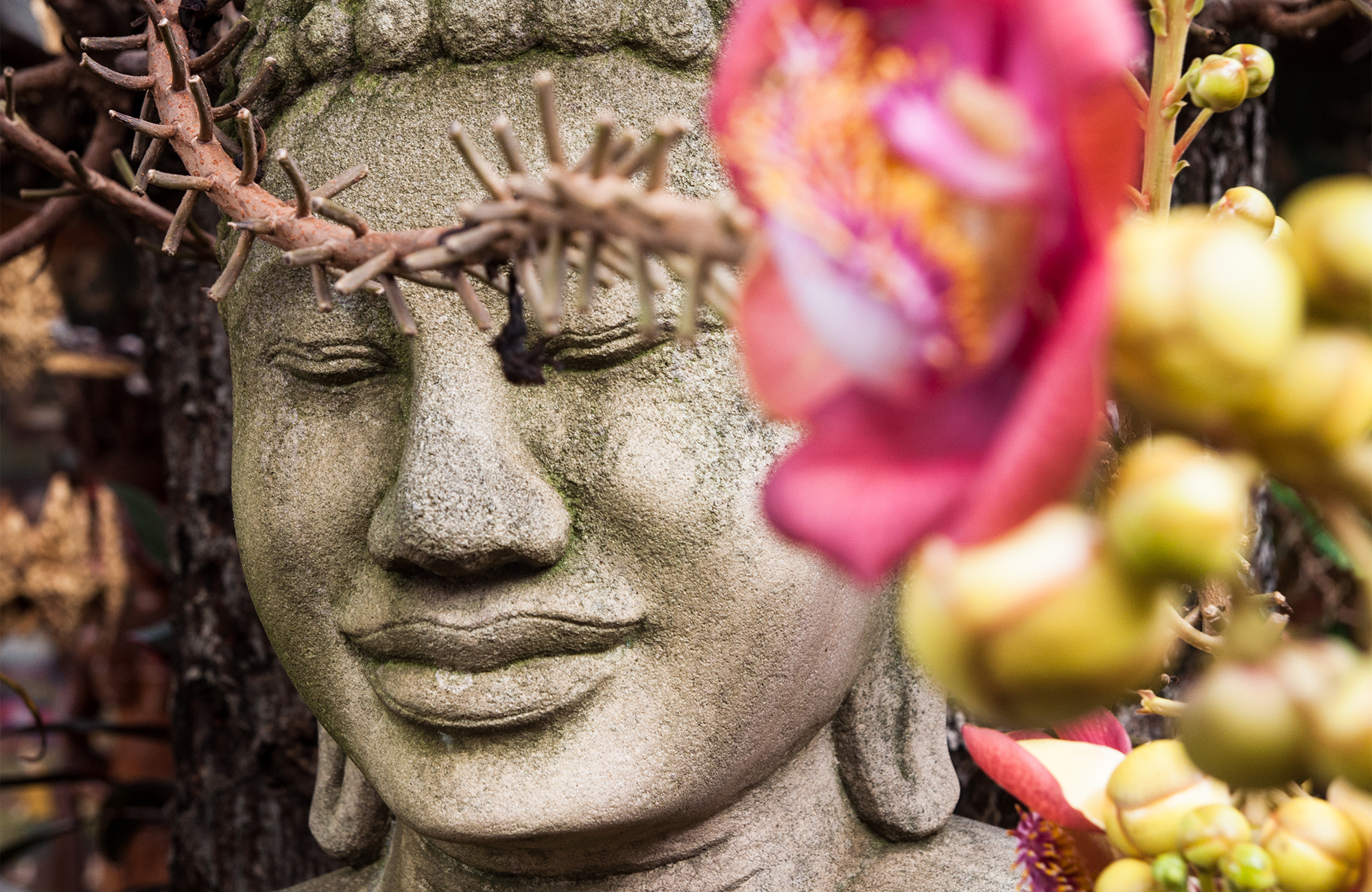 Standbeeld met bloem in Phnom Penh | KILROY