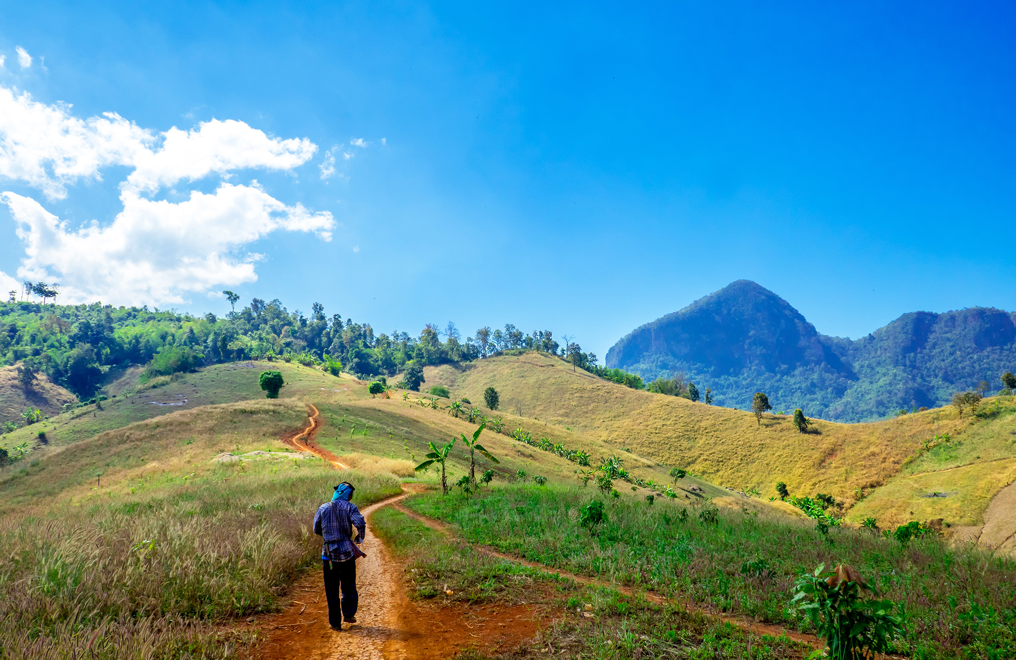 trekking-thailand-chiang-mai-green-highlands