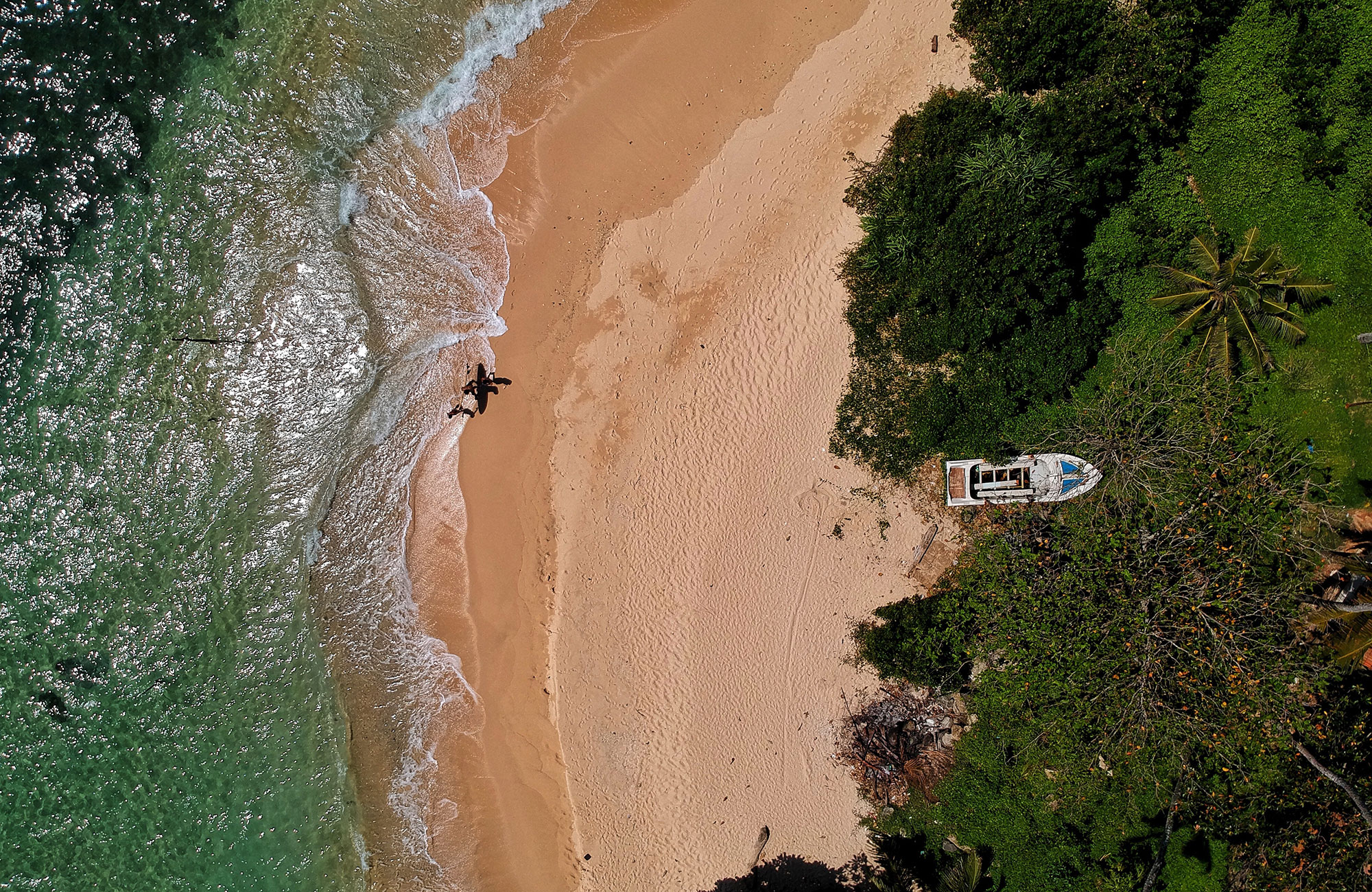 Leer surfen in Sri Lanka | KILROY