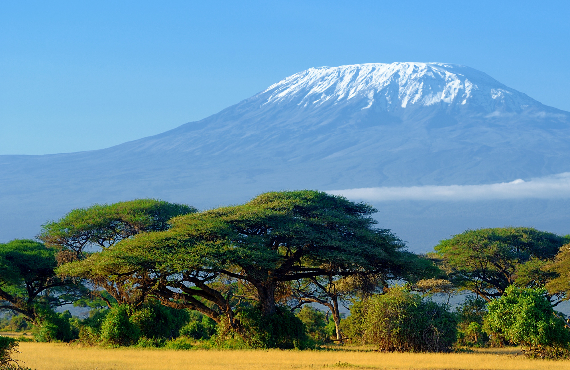 kilimanjaro-tanzania-mount-cover
