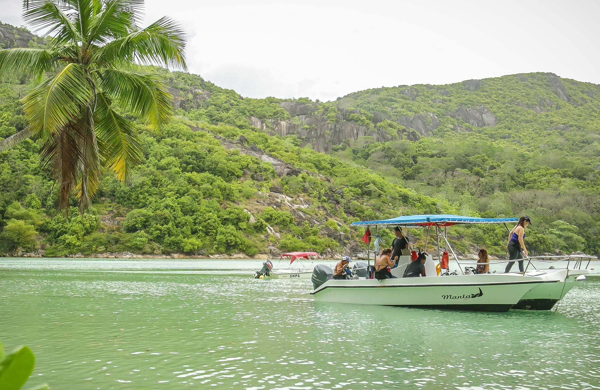 GVI-marine-conservation-seychelles-2