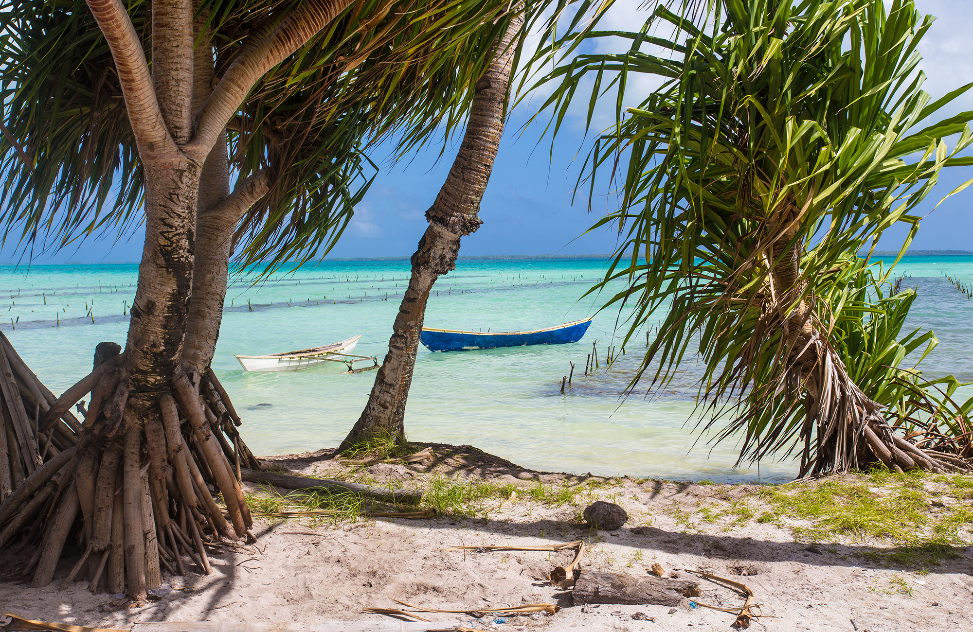 Geniet van een prachtig uitzicht in Kiribati | Reis naar het onbekende met KILROY