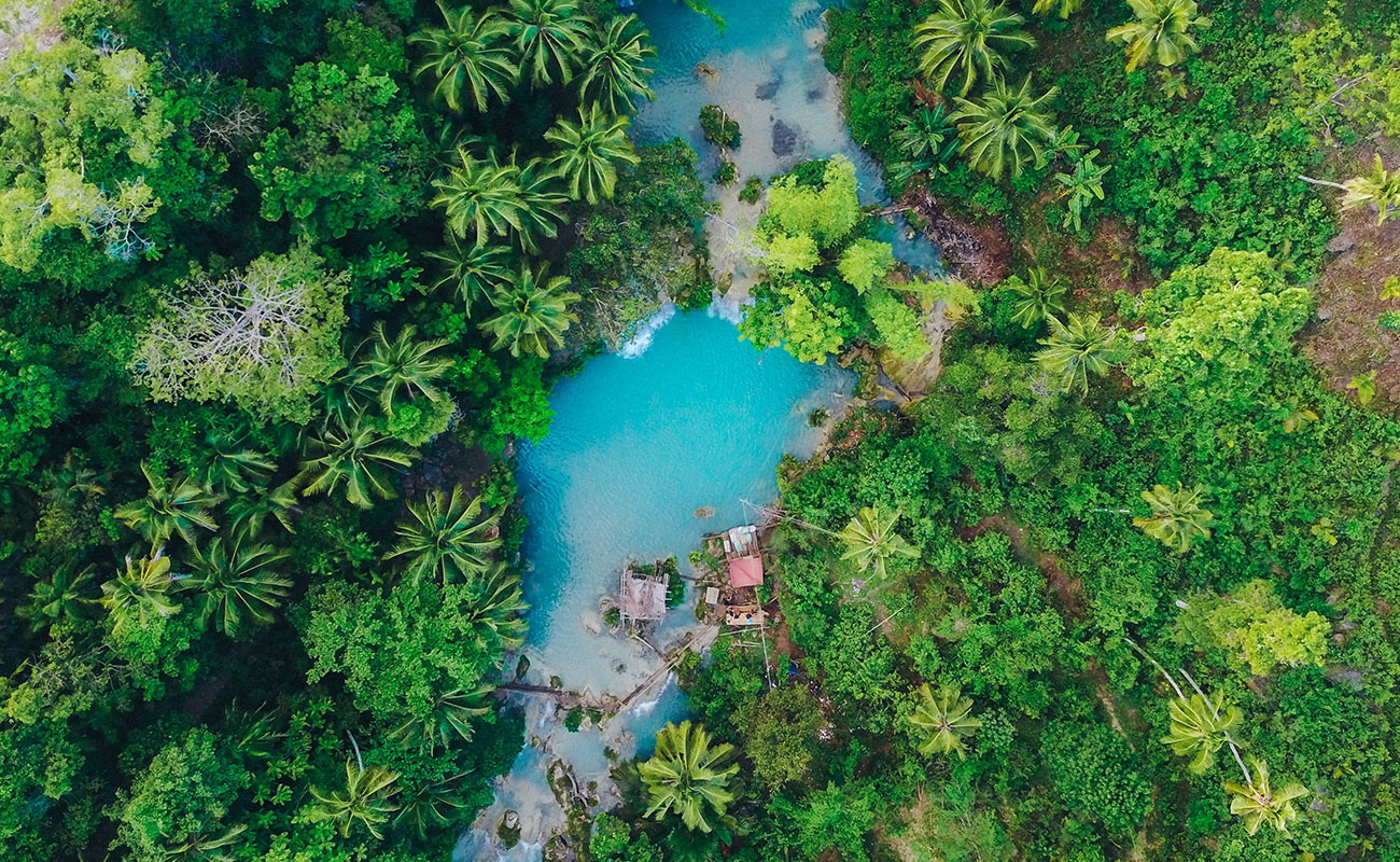 el-nido-philippines-forrest-river