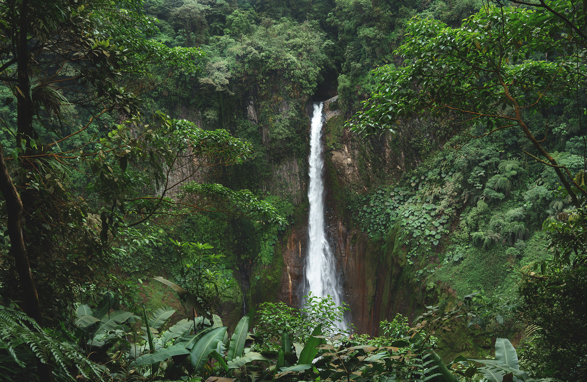 Costa Rica | Midden-Amerika