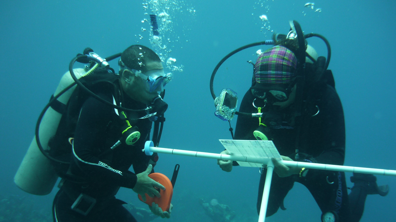 GVI-Mexico-divers-measuring-values