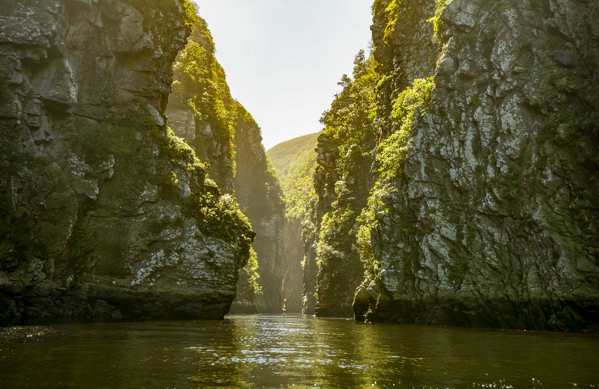 Tsitikamma in Zuid-Afrika