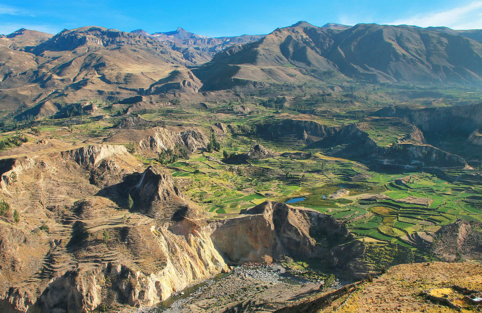 peru-colca-canyon-stepped-terraces-aerial