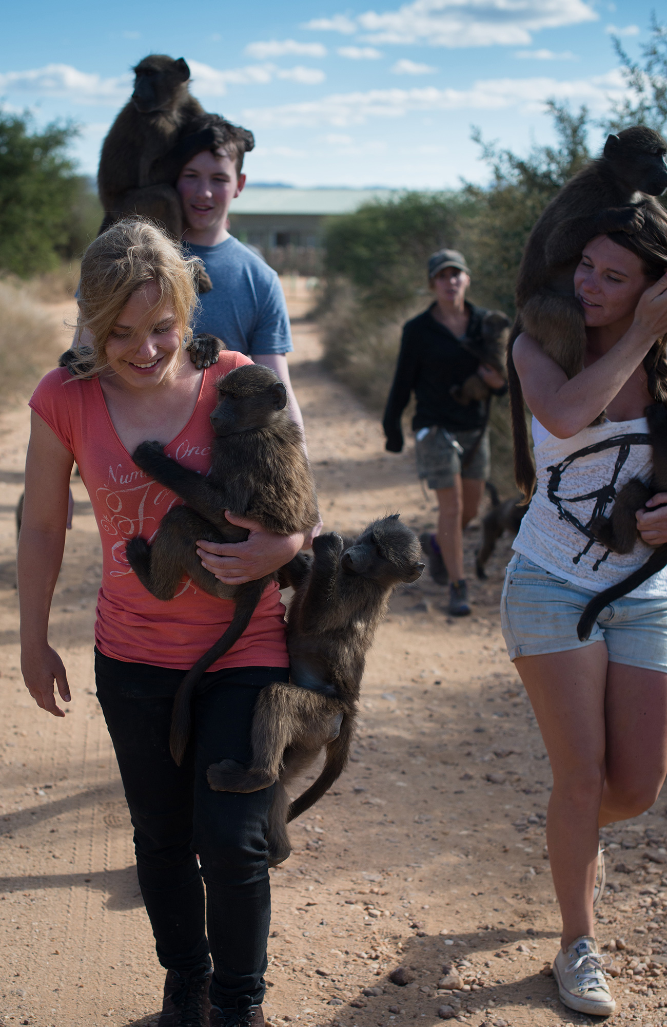 Vrijwilligers met apen in Namibië | Vrijwilligerswerk in Afrika | KILROY