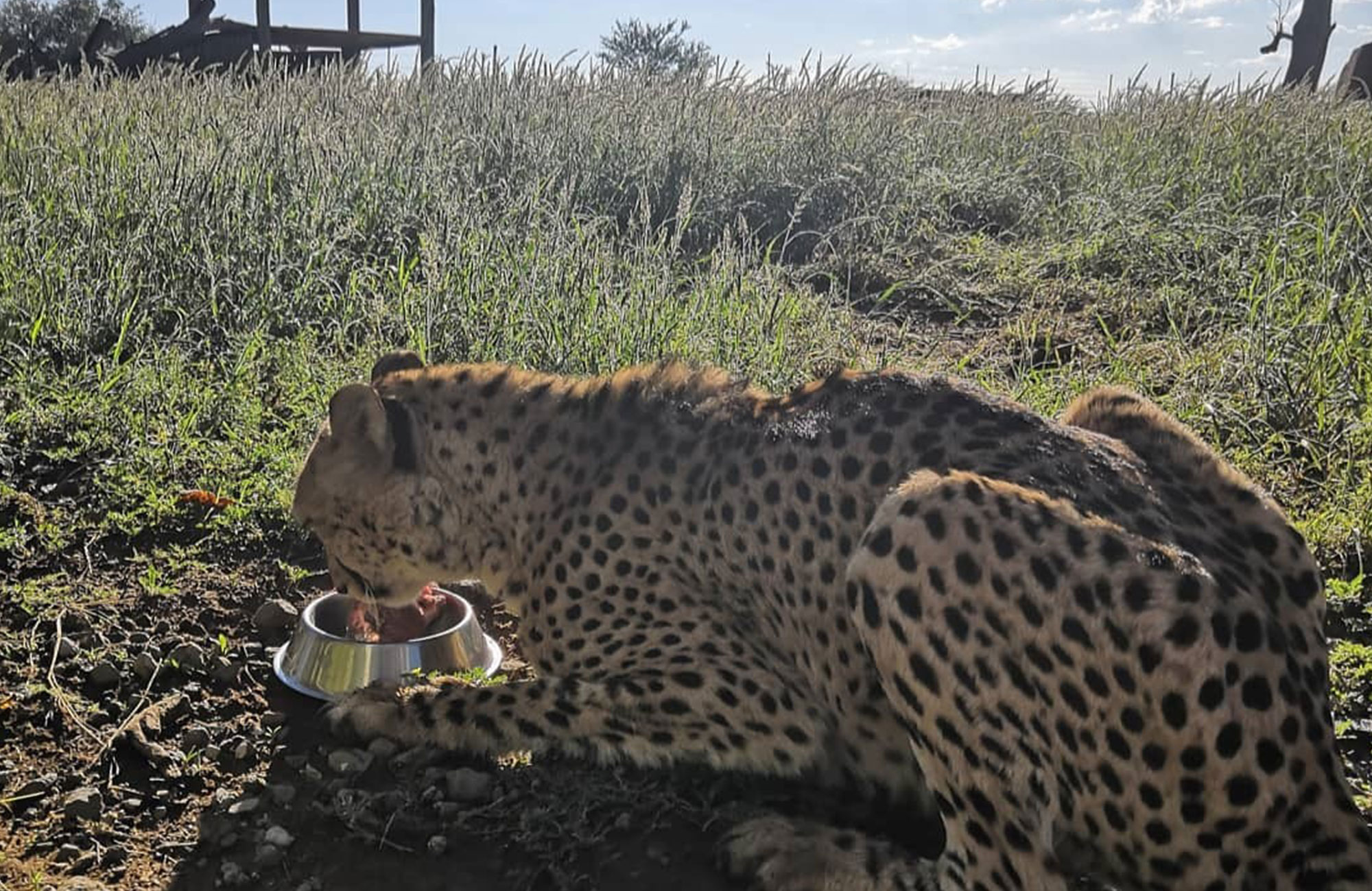 Vrijwilligerswerk Afrika