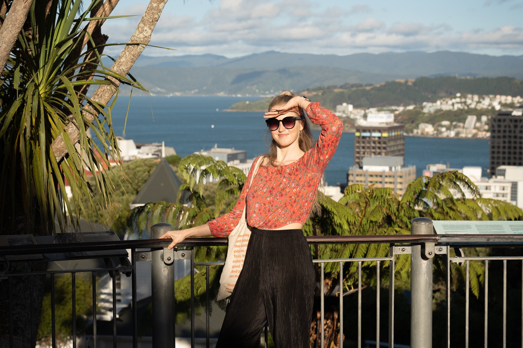 Wellington 6 (1)