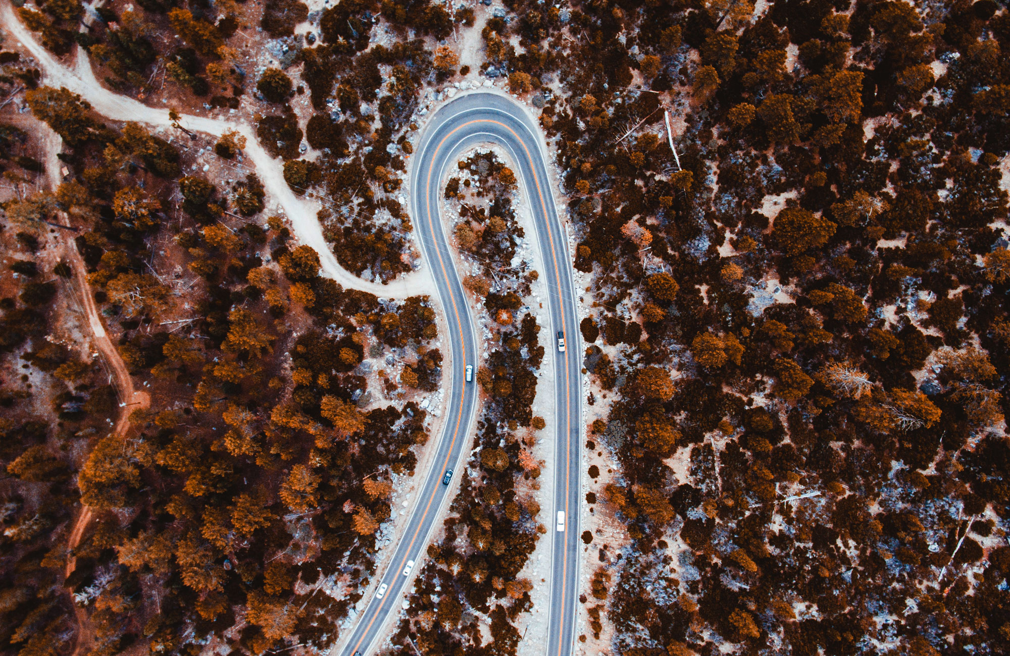 Bended Road Through Winter Forest In The USA