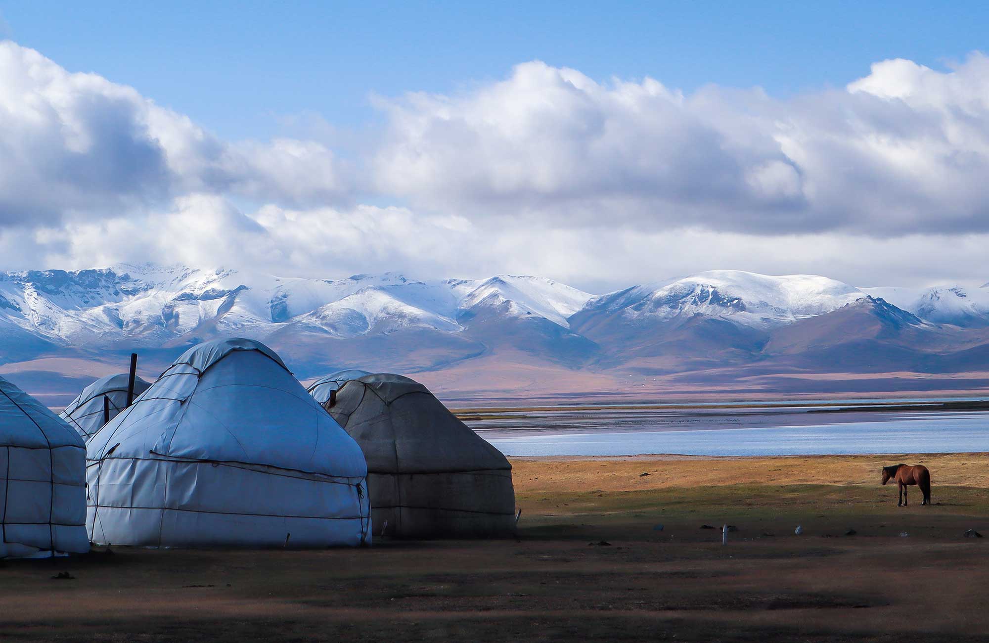 Kyrgyzstan Song Kul Jurts And Horse Cover