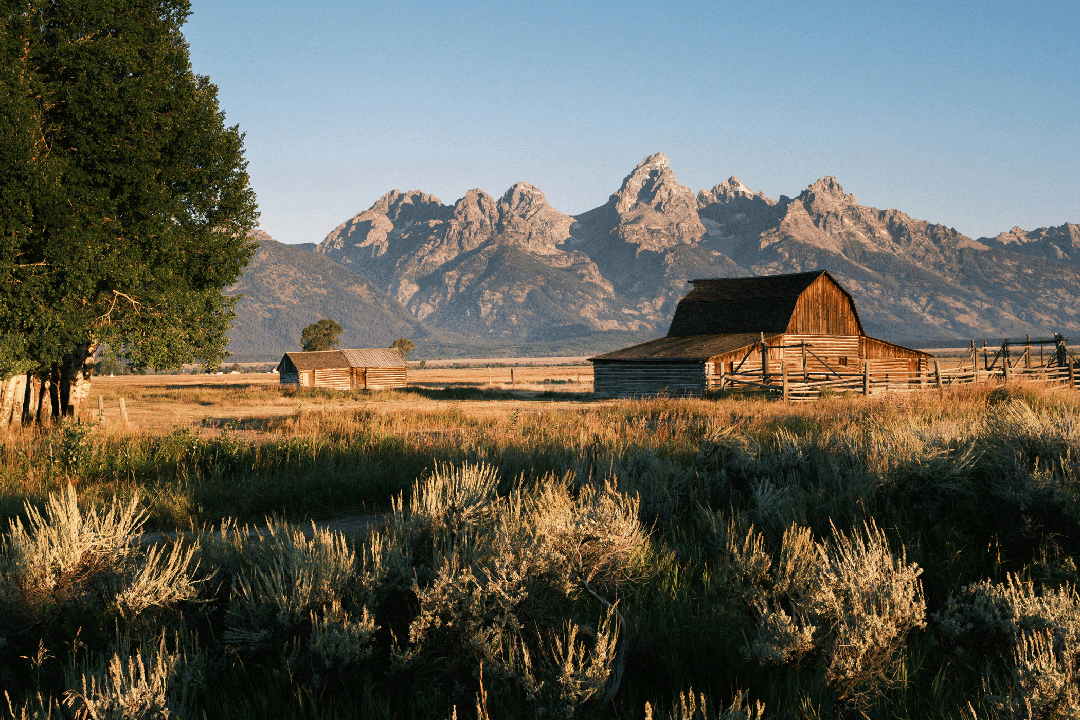Houten schuren van een boerderij in droog grasland, met de toppen van het Grand Teton National Park op de achtergrond