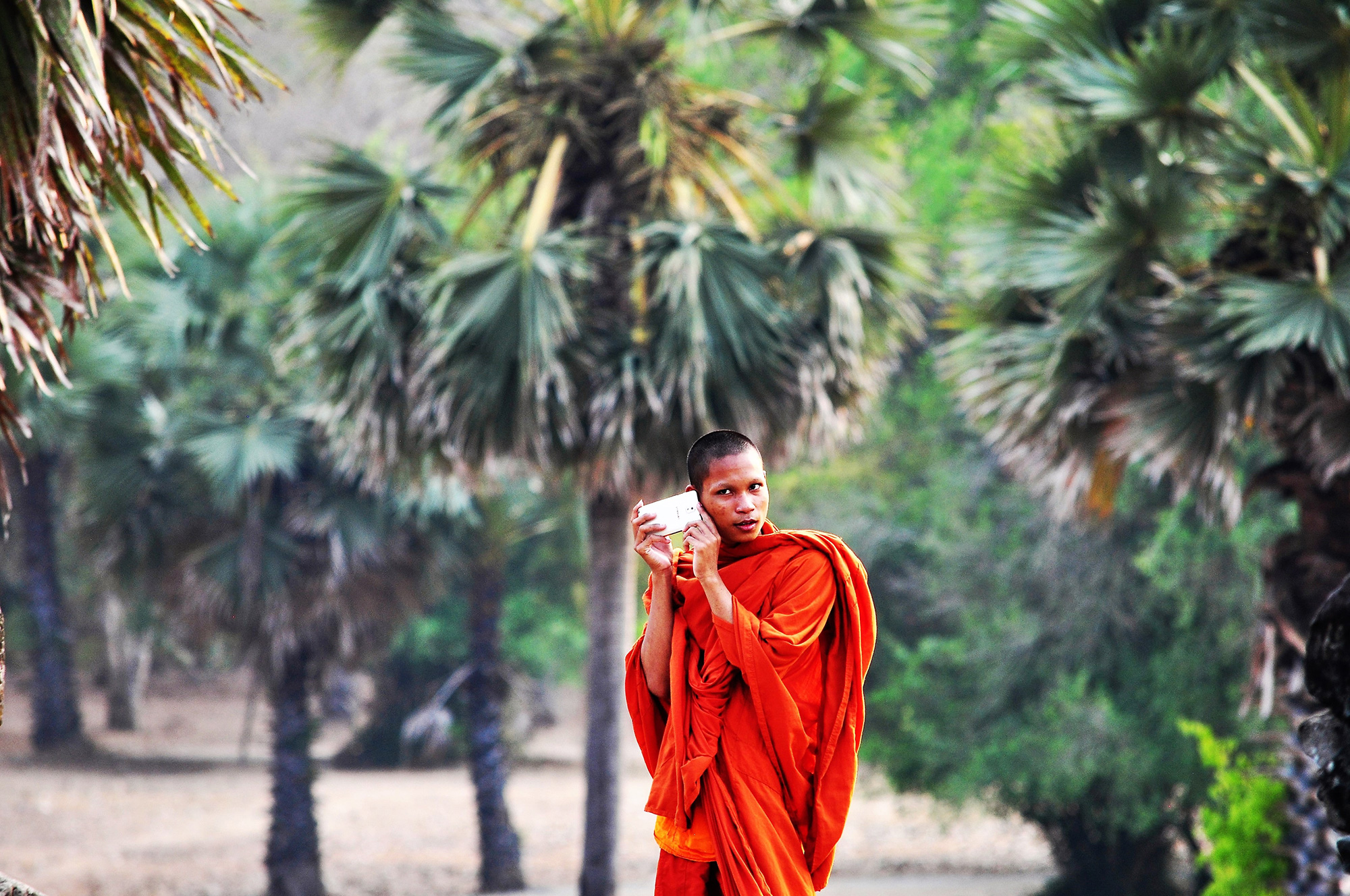 Angkor Wat Cambodia Munk