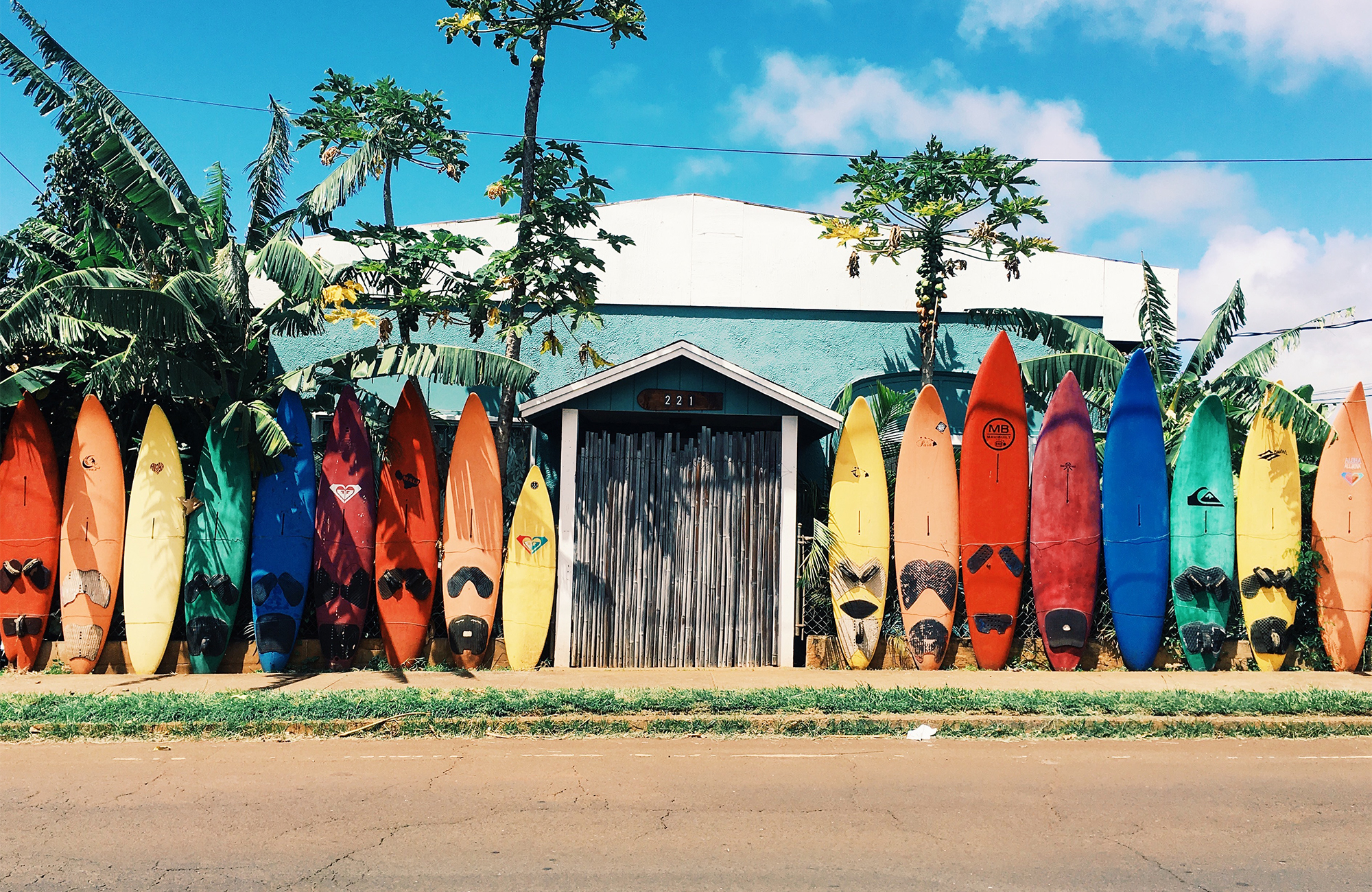 Leer surfen in Noord-Amerika | KILROY