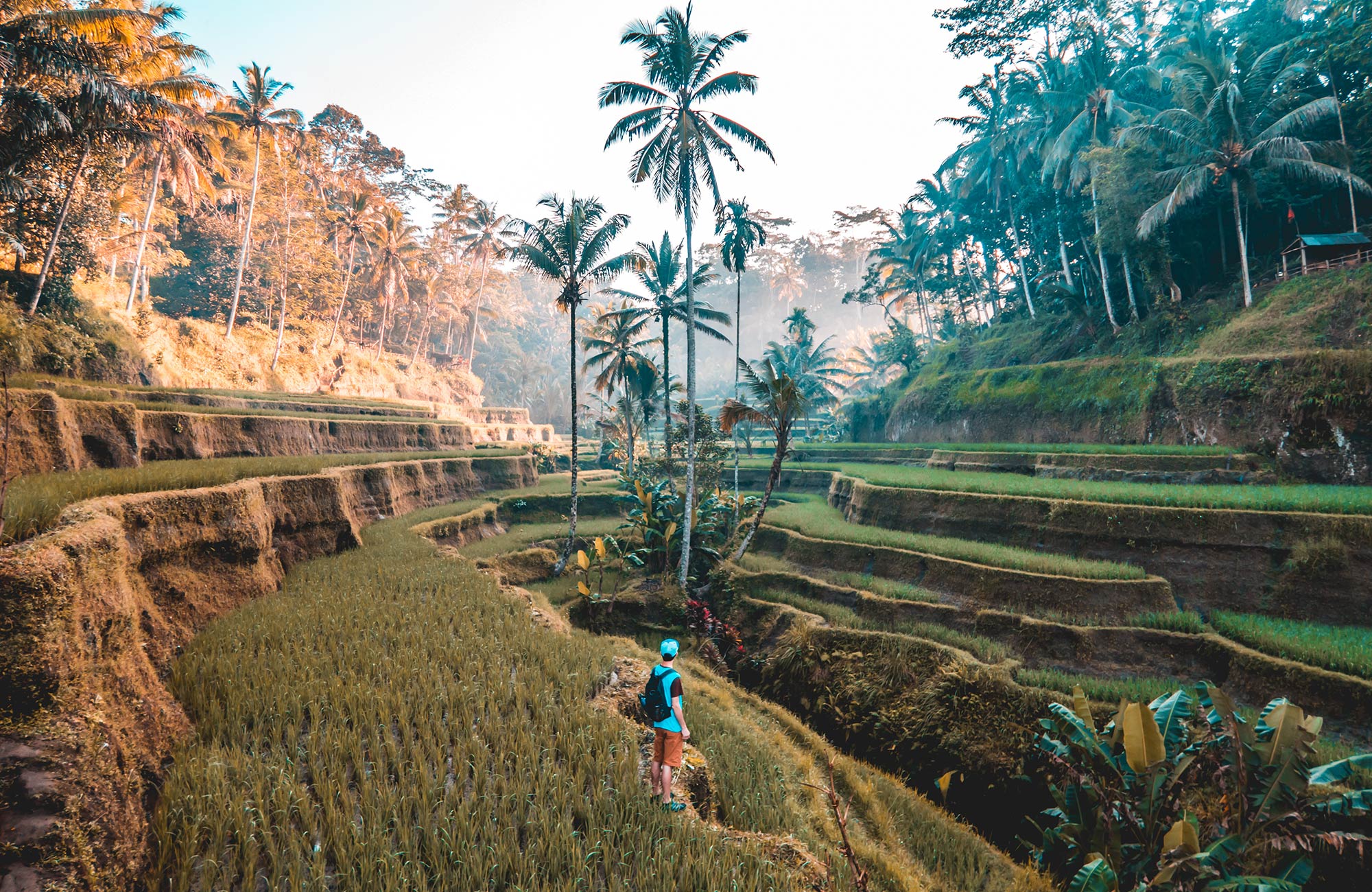 bali-ricefields-guy-planning-worldtrip-costs-cover