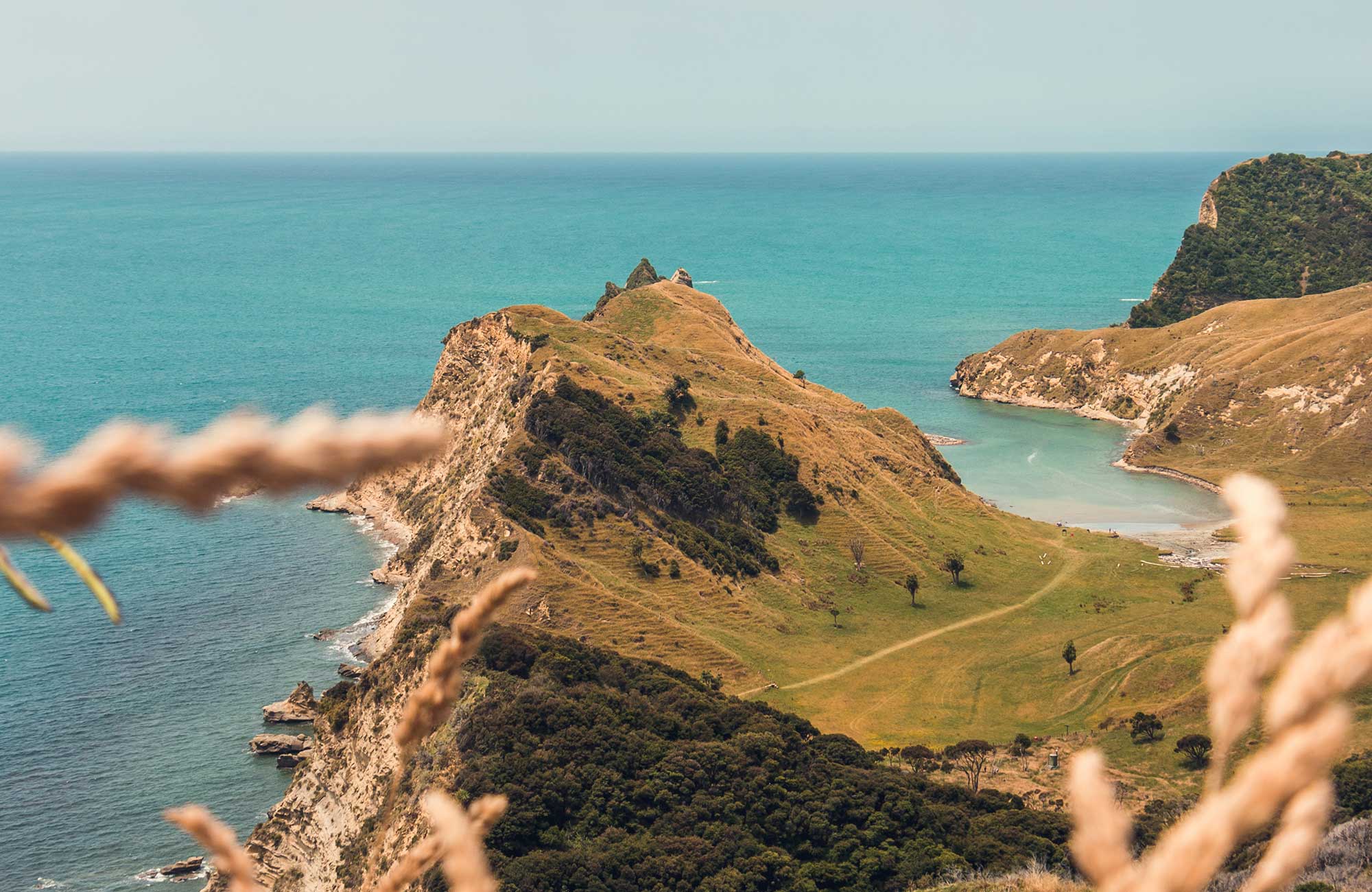 New Zealand Cooks Cove Gisborne
