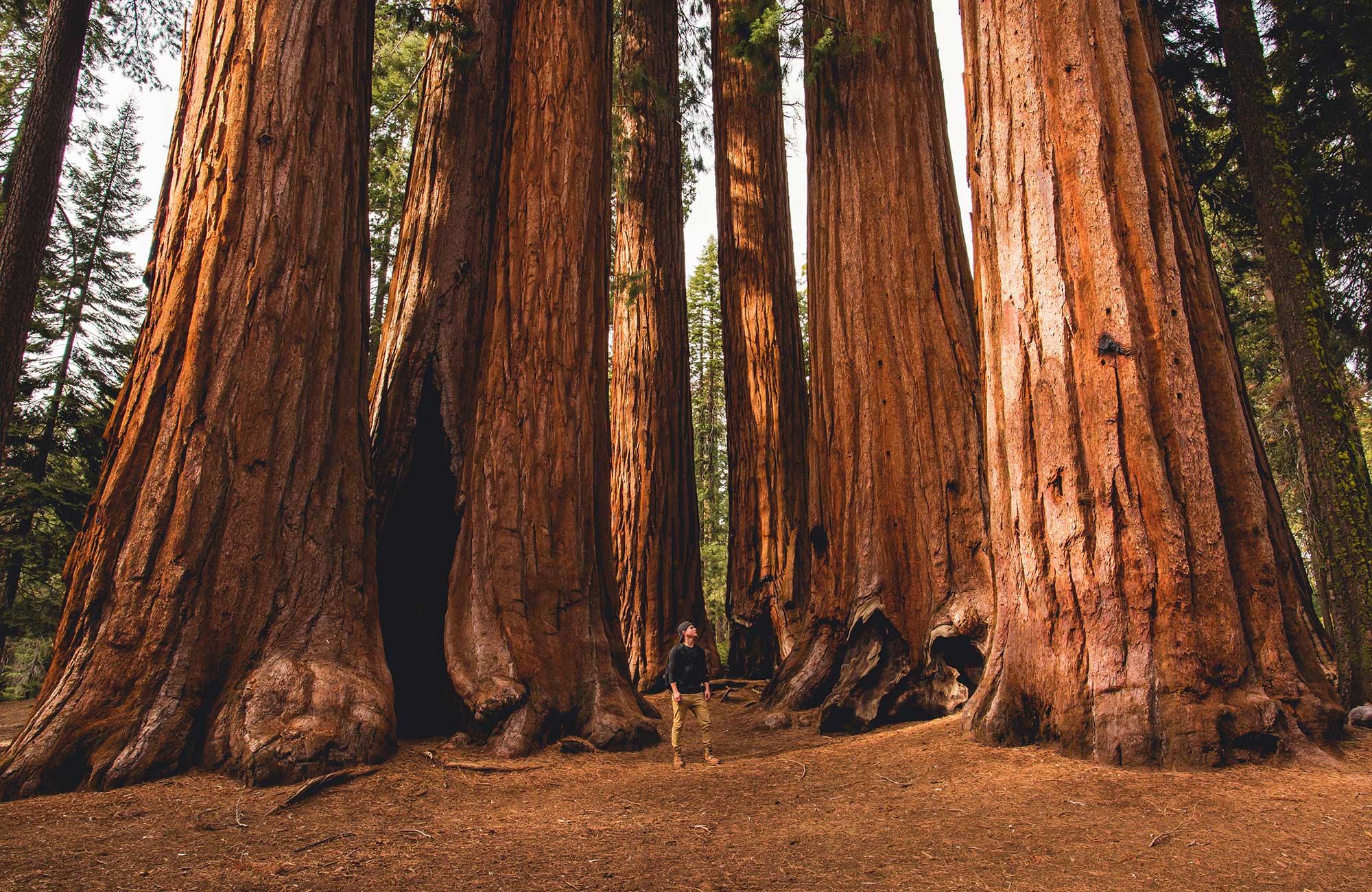 Classic California & Nevada, USA | KILROY