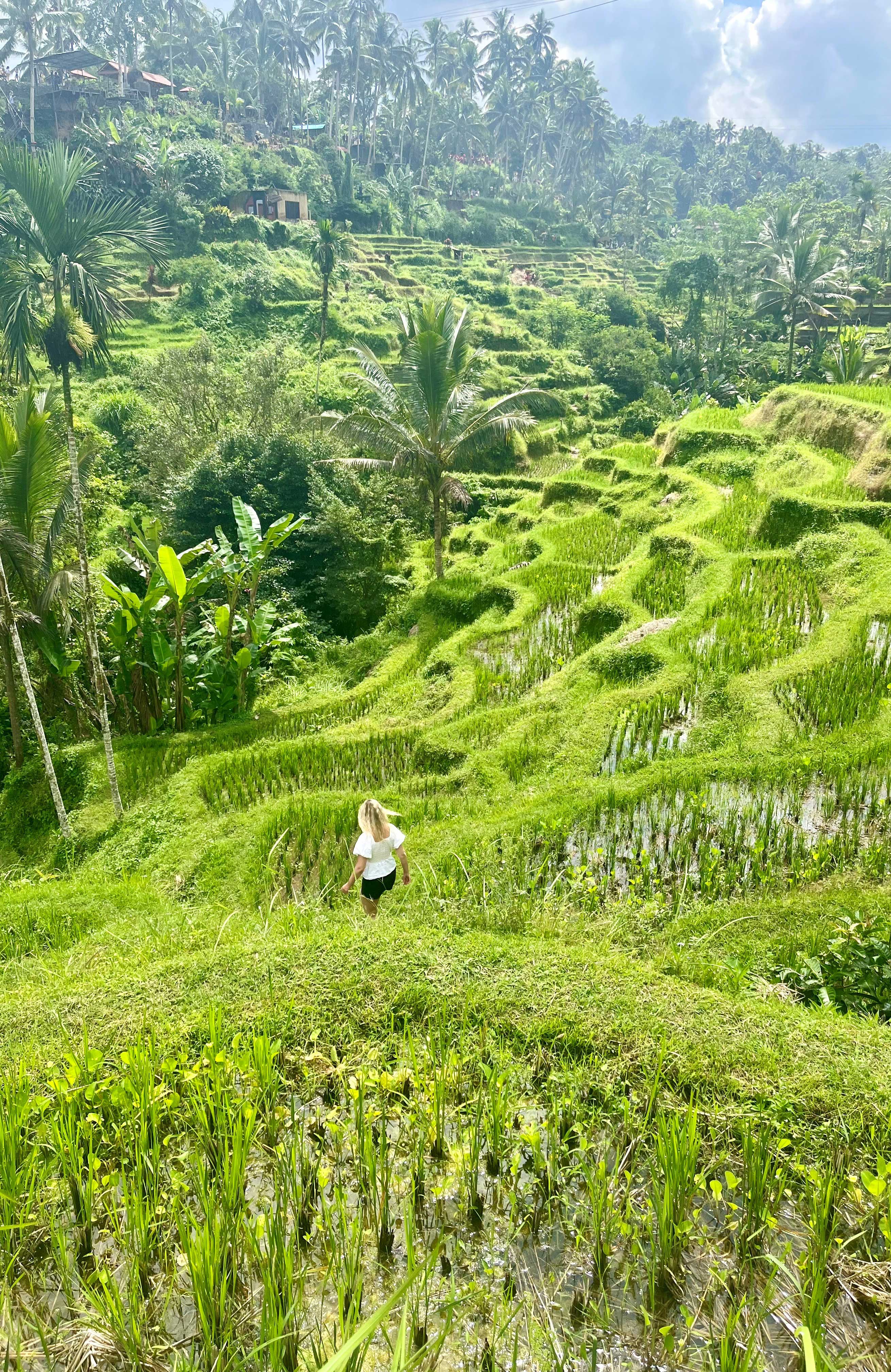 Wandelen door de rijstvelden op Bali