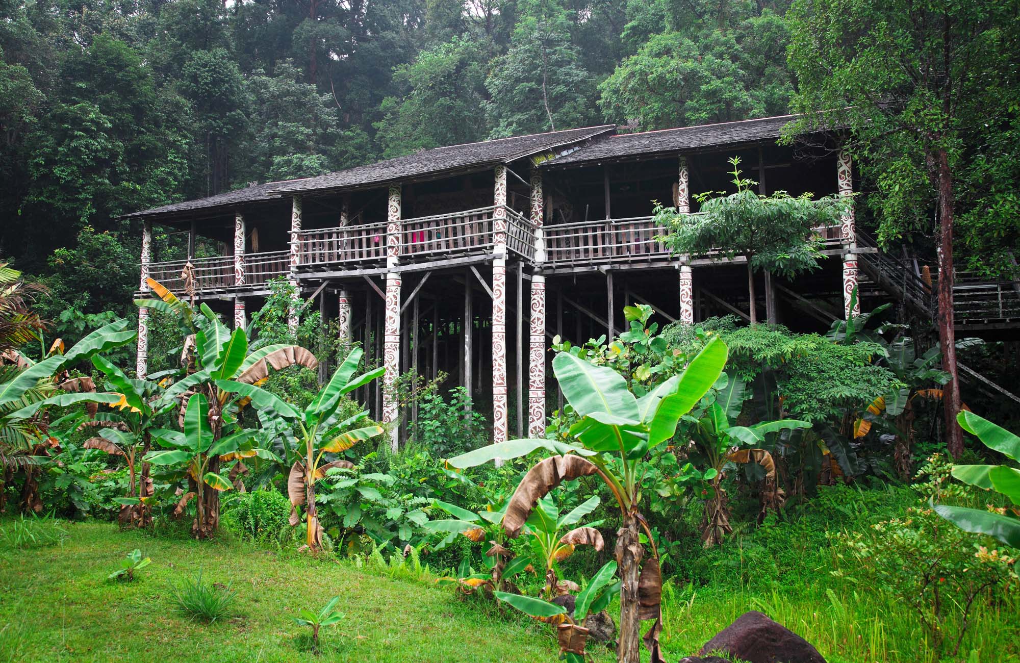 De groene jungle in Malesie | KILROY