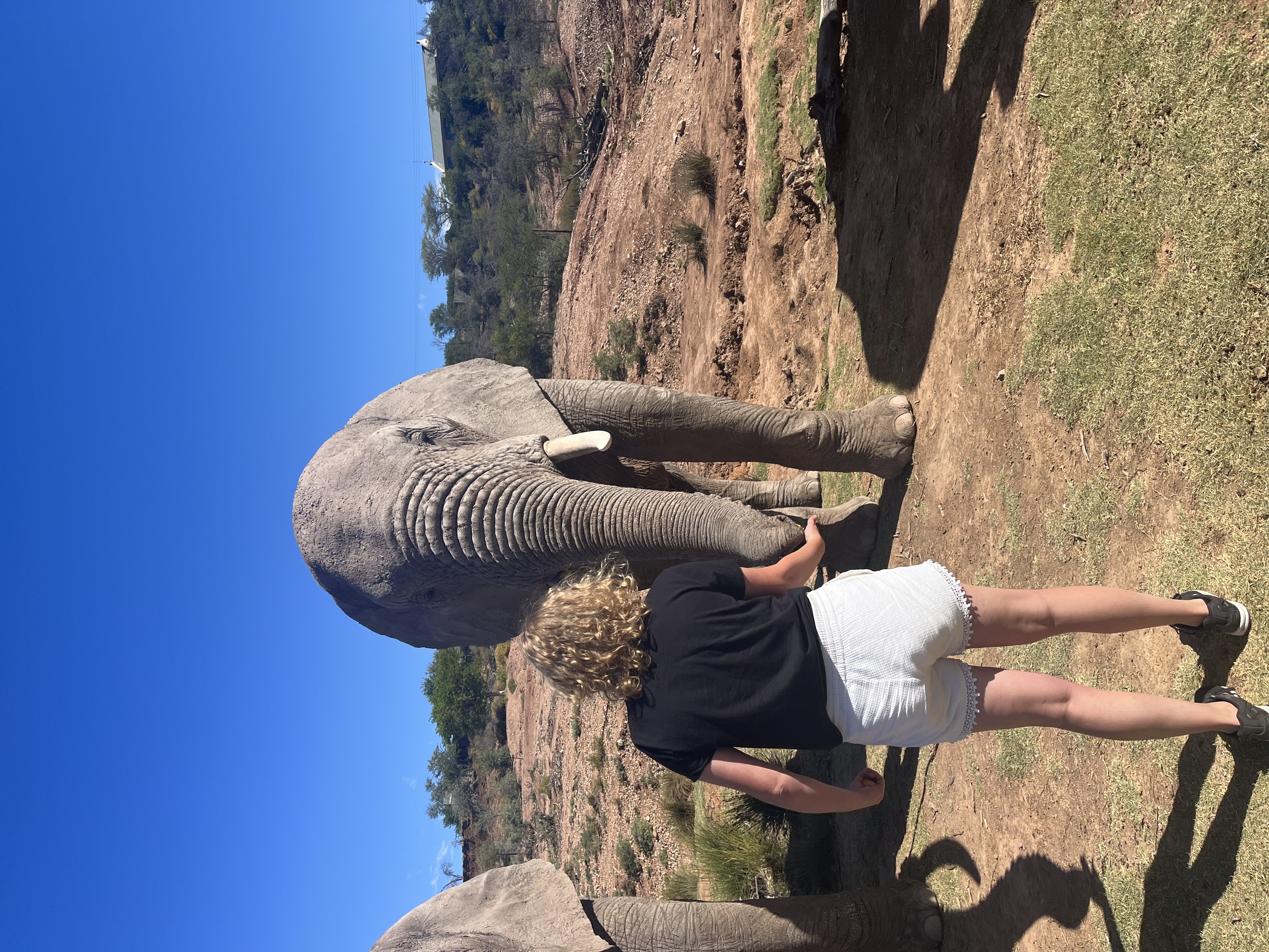 Elephant Refuge