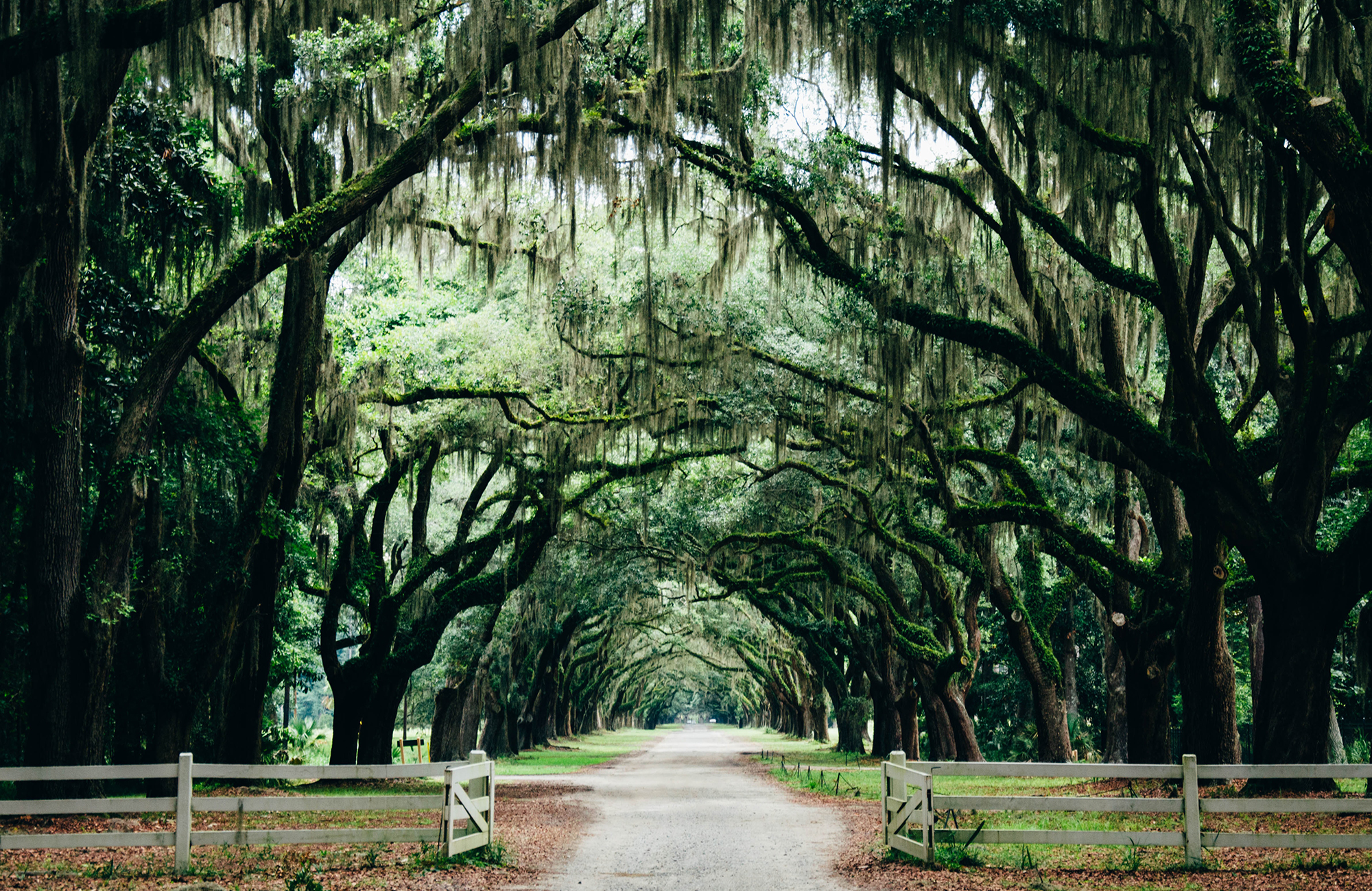 Roadtrip Amerika | Southern States