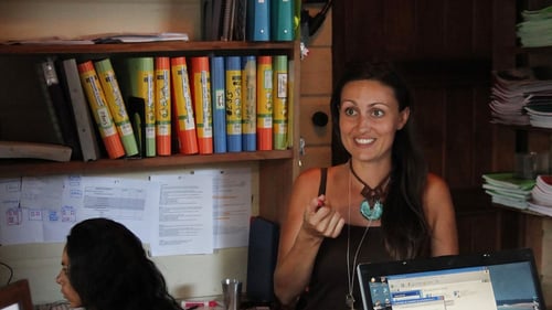 bocas---office