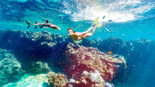 blc_snorkel_1