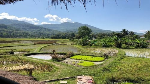 scenery_product_gallery