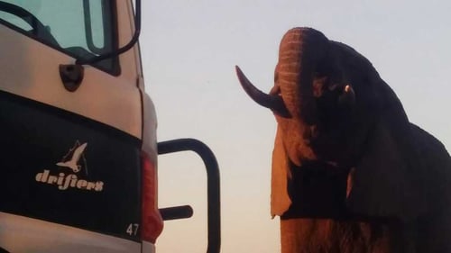 644d2ec220bb2