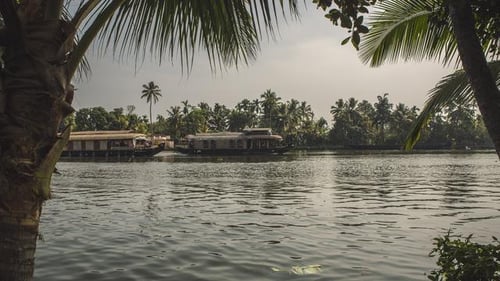 itinerary_mobi_India_Kerala_Backwaters_Houseboats_-_Oana_Dragan_2015__M1_3044